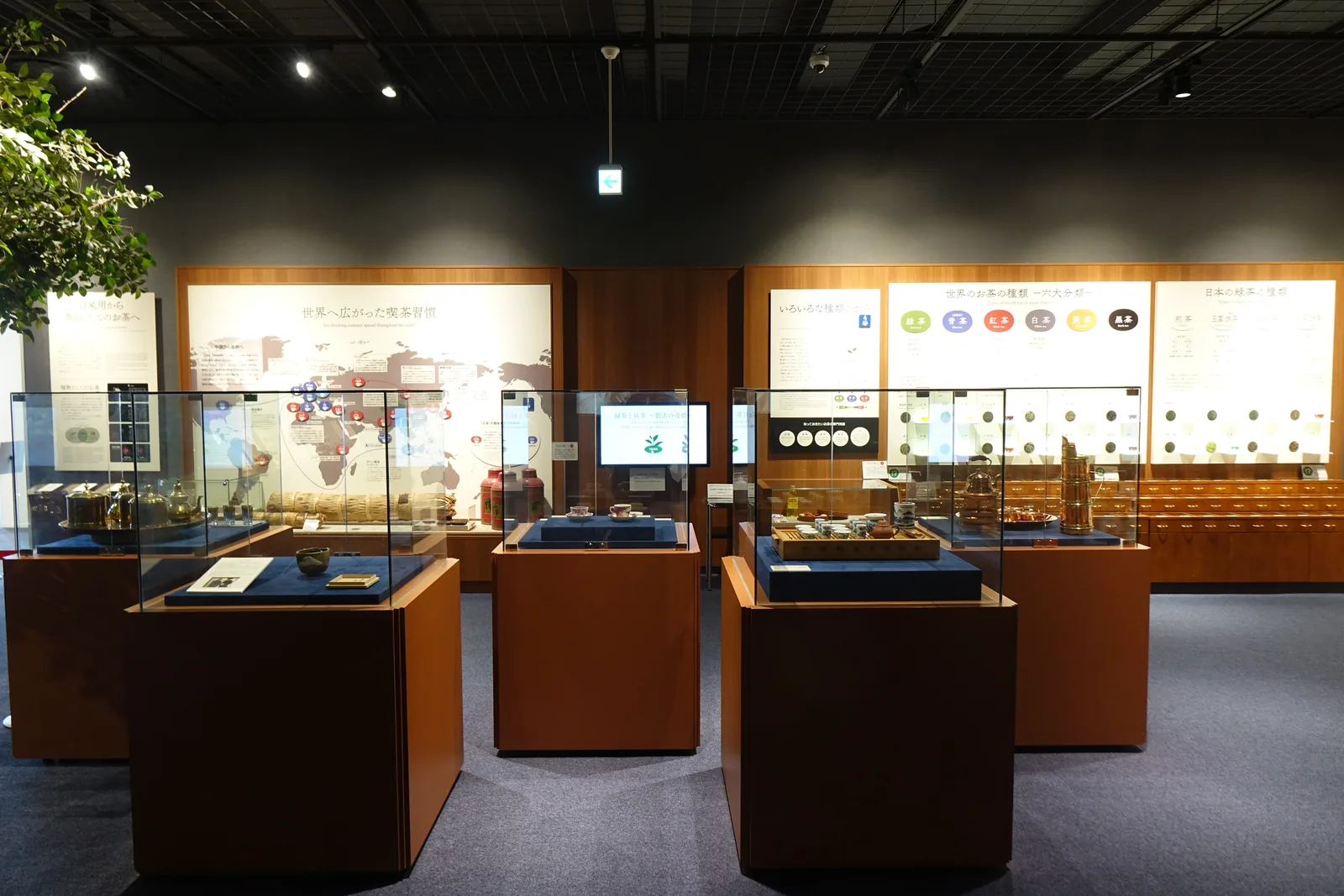昏暗的展示室，黑色天花露出吊架與軌道燈，地面為藍灰色地毯，數座紅褐色木台座的玻璃展示櫃成列，後方牆面是世界地圖與茶葉分類的圖版