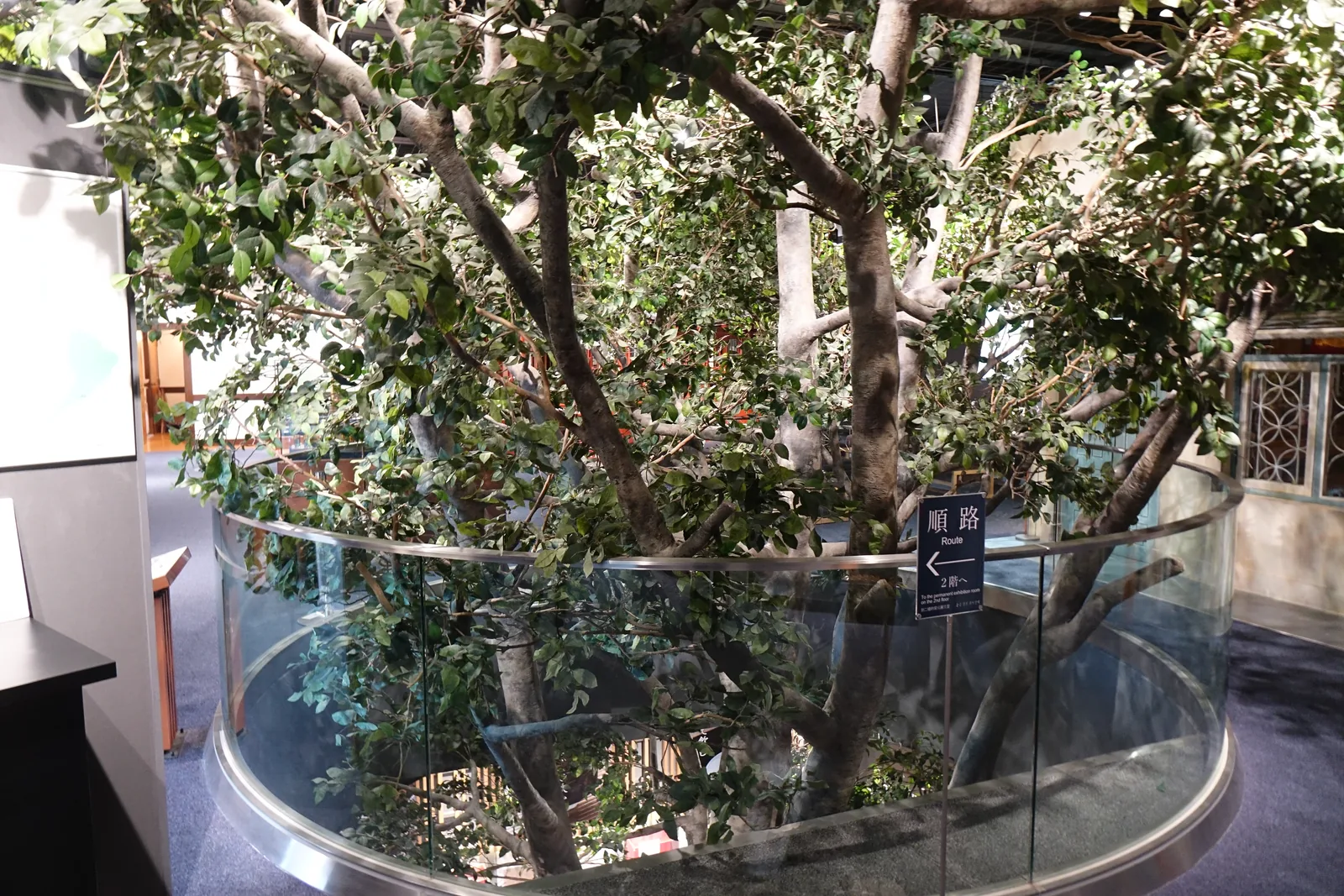 展示室中央的複製茶樹，枝葉茂密，樹幹自地面的圓形開口穿出，開口以玻璃圓筒與金屬扶手圍繞，旁邊立著指向二樓的順路標示