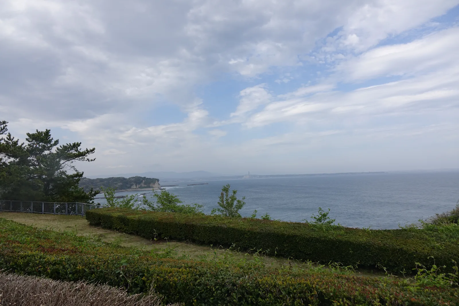 自館區庭園向南望，前景是修剪成帶狀的綠籬與草地，中景是斷崖上的松樹，遠方是一段突出的海岬、防波堤與遼闊的太平洋