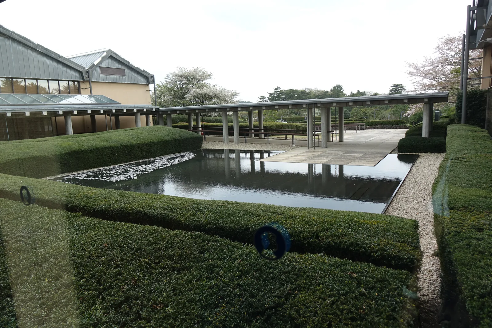 自館內透過玻璃望向水池與藤架，前景是修剪整齊的綠籬，中央是一座長方形水池，水面倒映著一道細柱支撐的長藤架，左側是美術館的山牆屋頂，背景是盛開的櫻花與松林