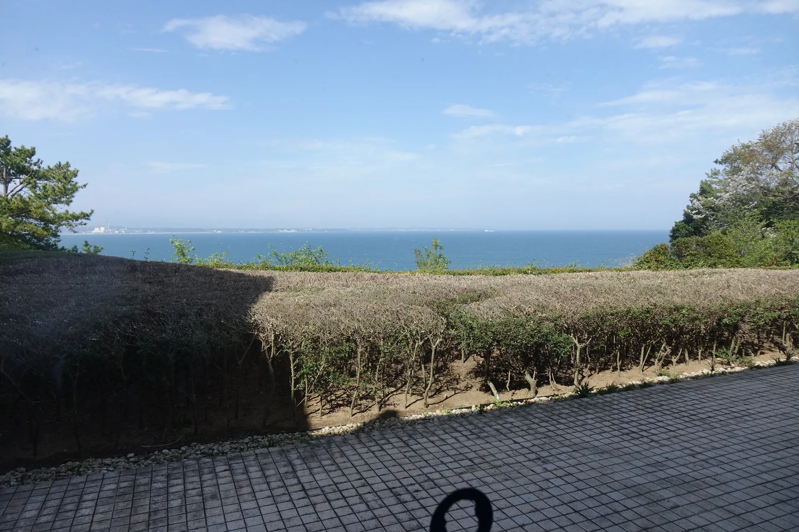 自館內臨海一側望出，前景是灰色方磚鋪成的平台，中景是一道修剪過的低矮綠籬，遠方是藍色的太平洋、海岸線與水平線