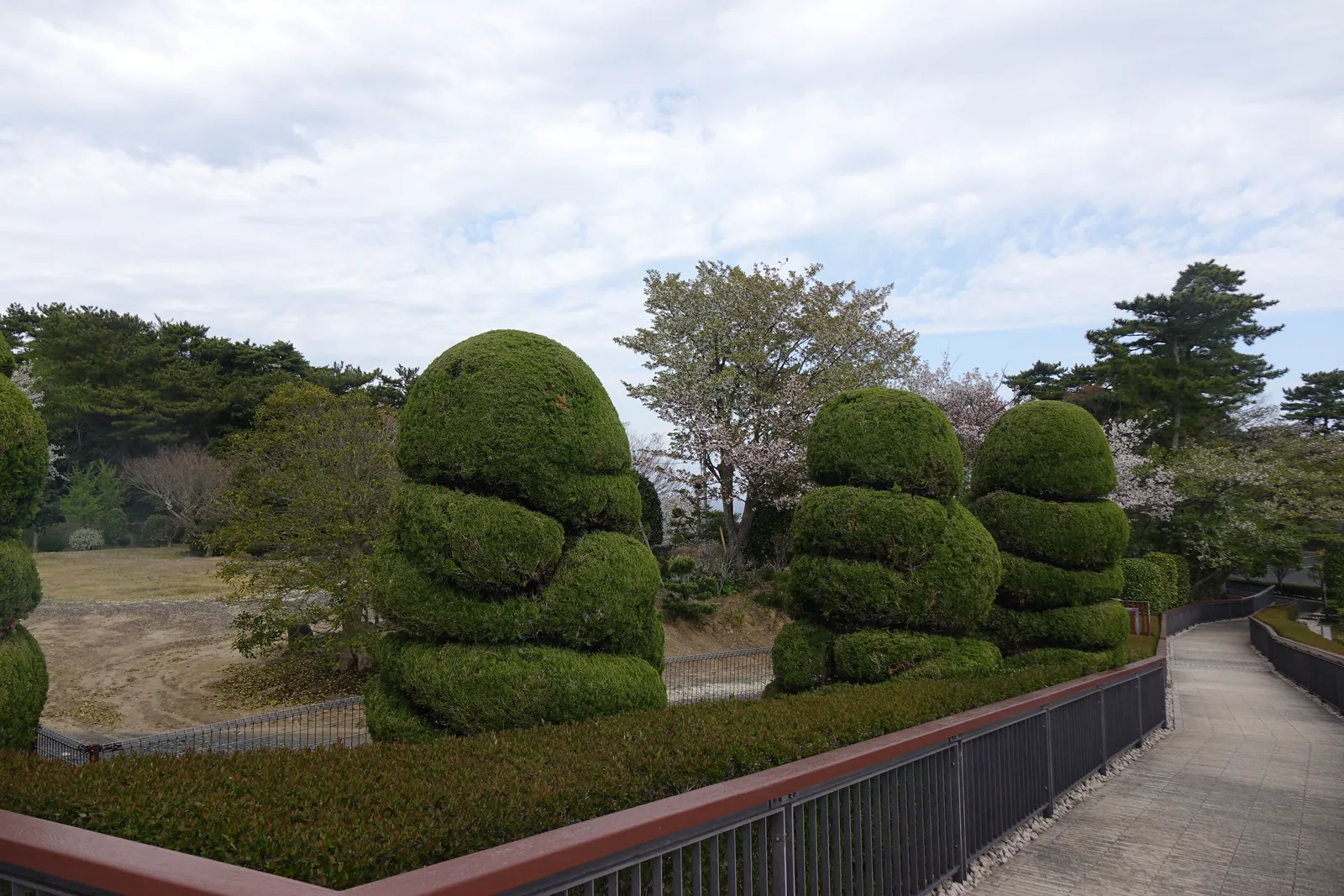 館區庭園的出口步道，左側是三株修剪成多層圓形的灌木造型樹，右側是一條紅色扶手的鋪石坡道，背景是松樹與櫻花