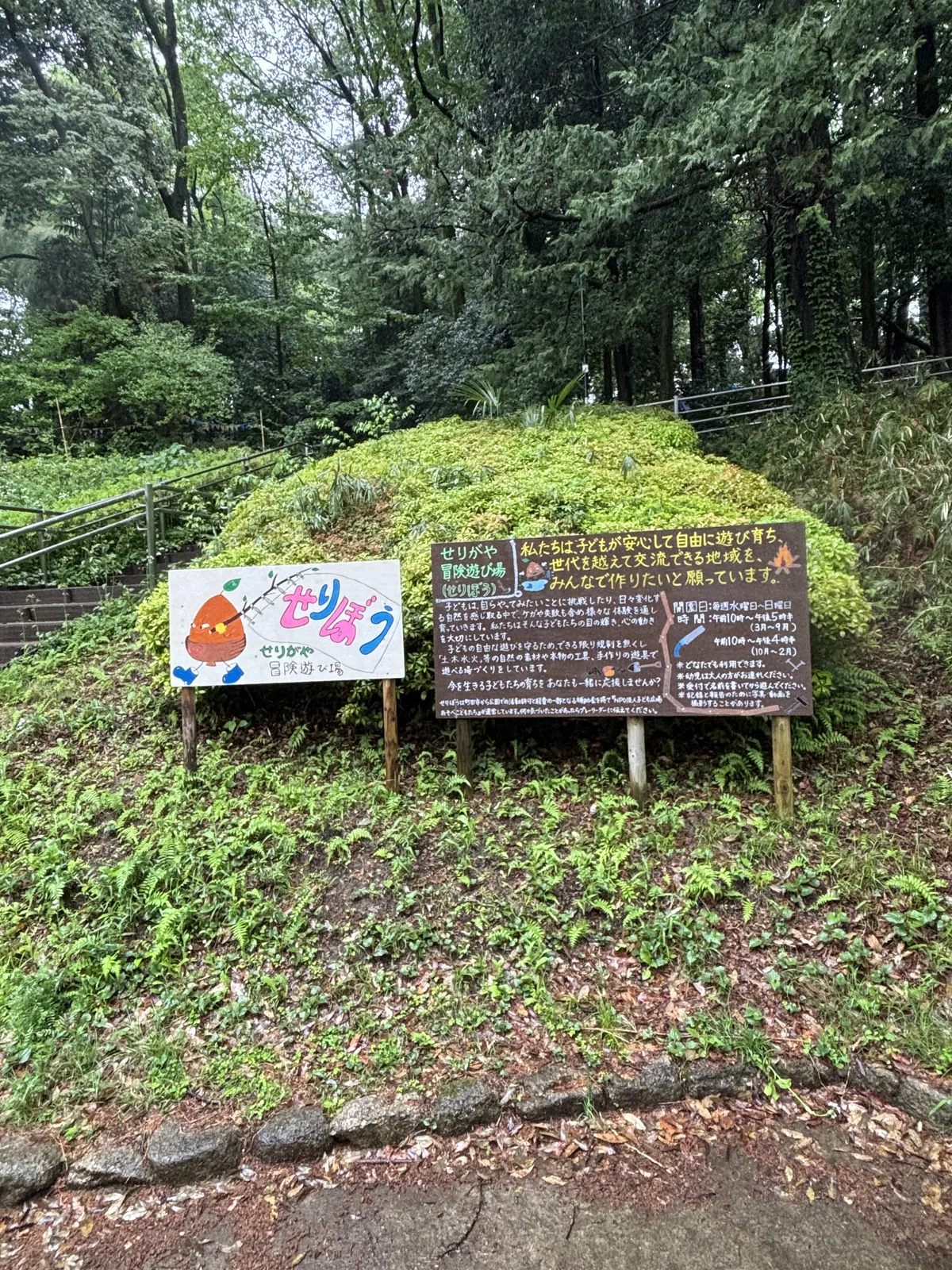 樹林邊緣的土坡上立著兩塊手繪的招牌，一塊畫著卡通角色與彩色文字，一塊是深色底的說明板，後方有通往高處的階梯與欄杆