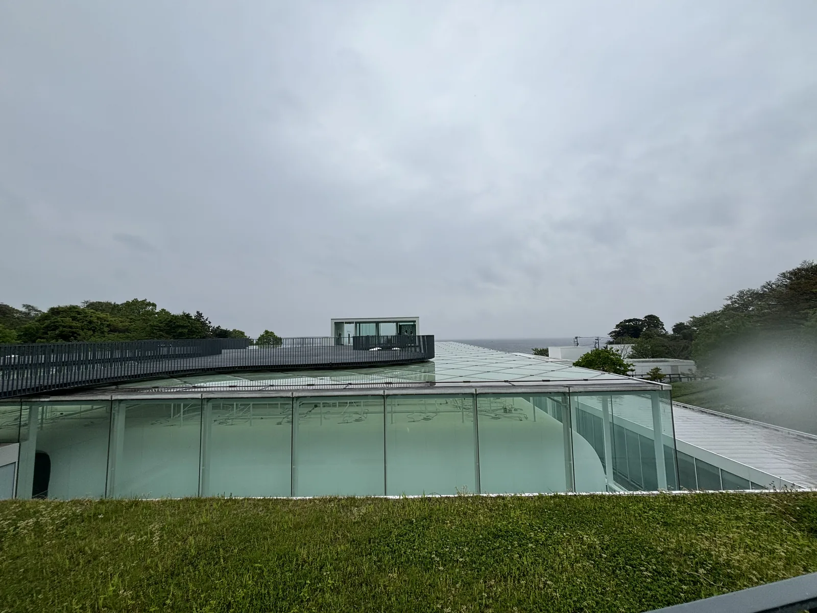 自山側的草坡望向美術館，前景是一片草坪，中景是玻璃包覆的低矮量體，量體的屋頂上可見欄杆與一座玻璃小屋，背景是陰天下的東京灣