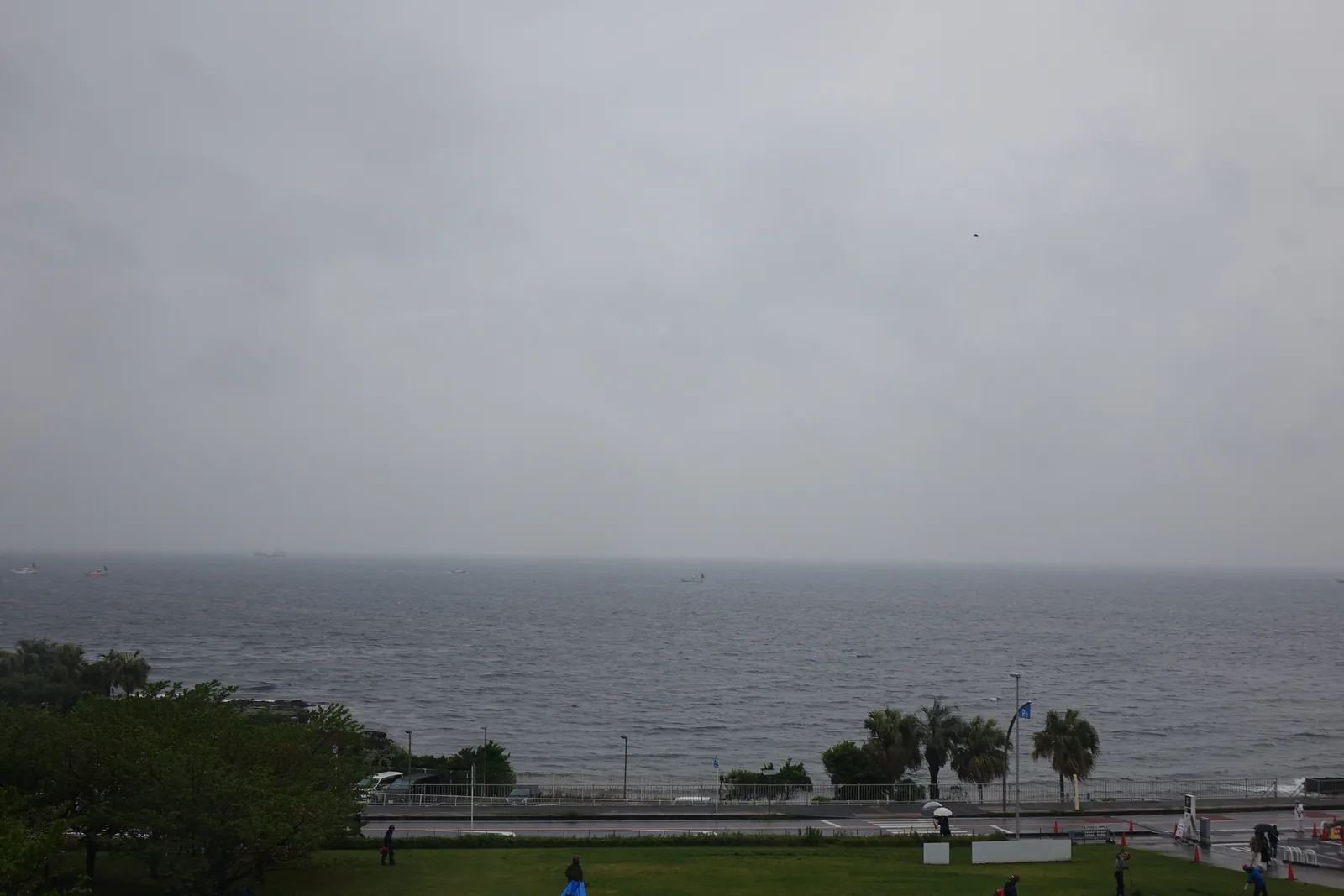 自美術館的海之廣場望向東京灣，前景是草坪，中景是海岸道路與一排棕櫚樹，背景是陰天下灰色的海面