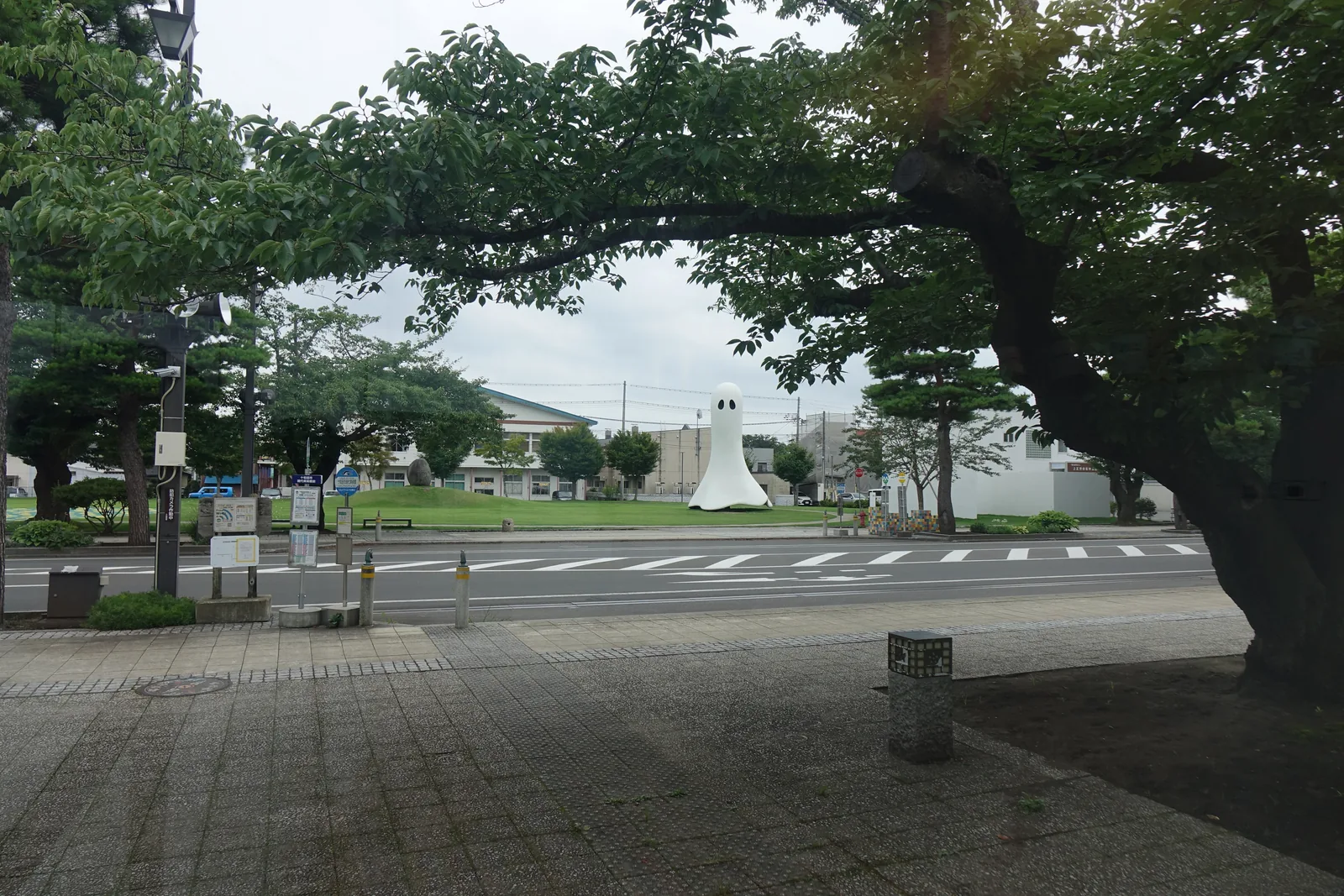 官廳街通的人行道與行道樹，前景為大樹的枝幹，遠處為道路與低層建築