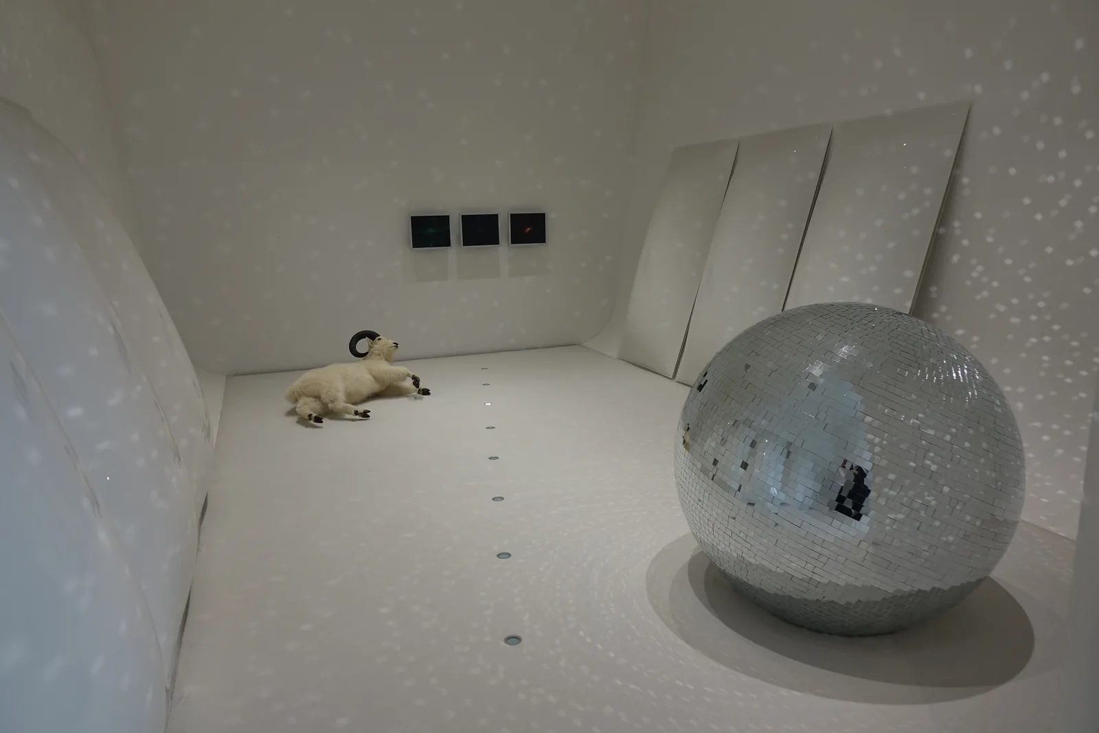 白色展示室內部，地面上放置兩件白色的動物雕塑，天花與牆面皆為白色