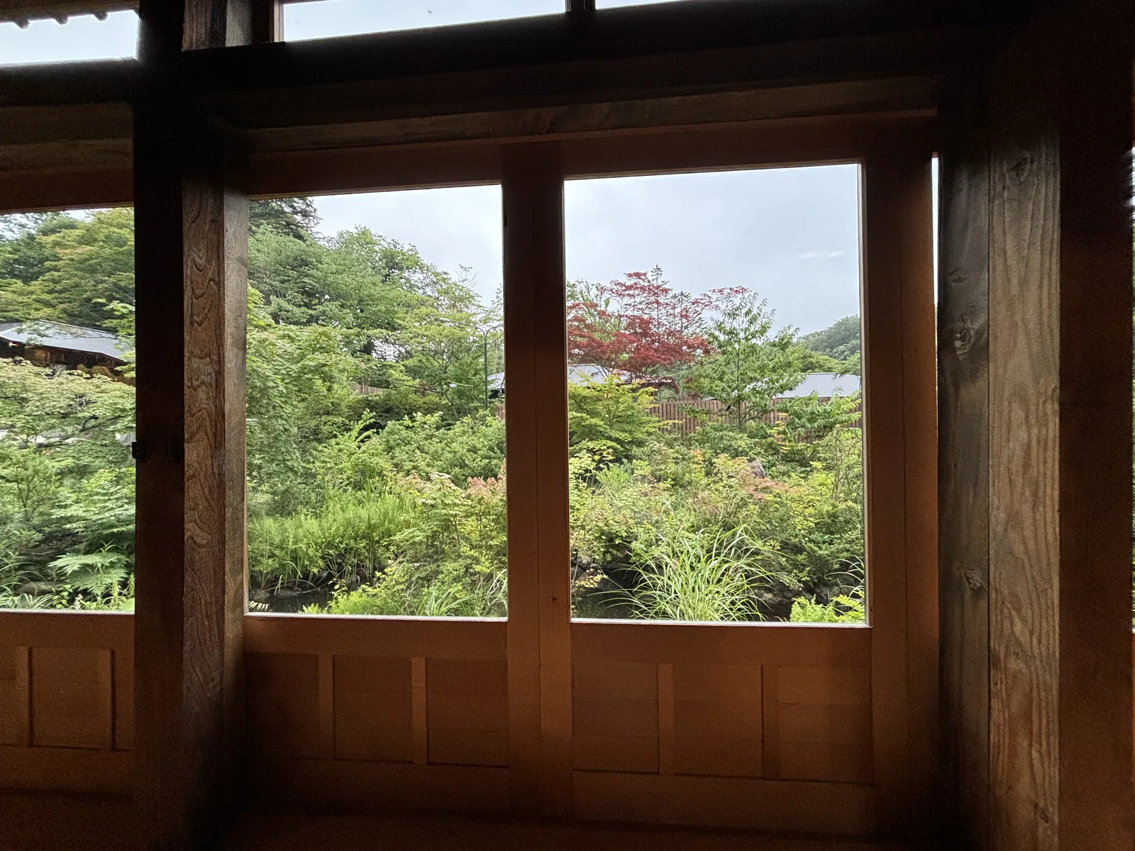 本館大廳的木窗：粗木框分格，窗外為楓與灌木的庭園