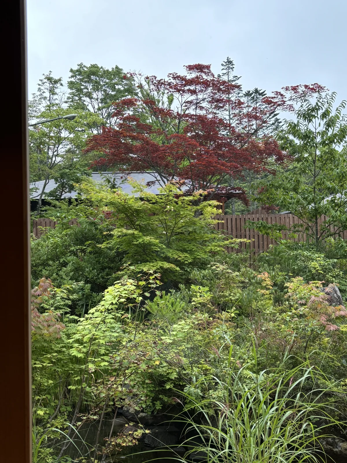 庭園一角，紅葉的楓樹與綠色灌木，後方為木造建築的一角