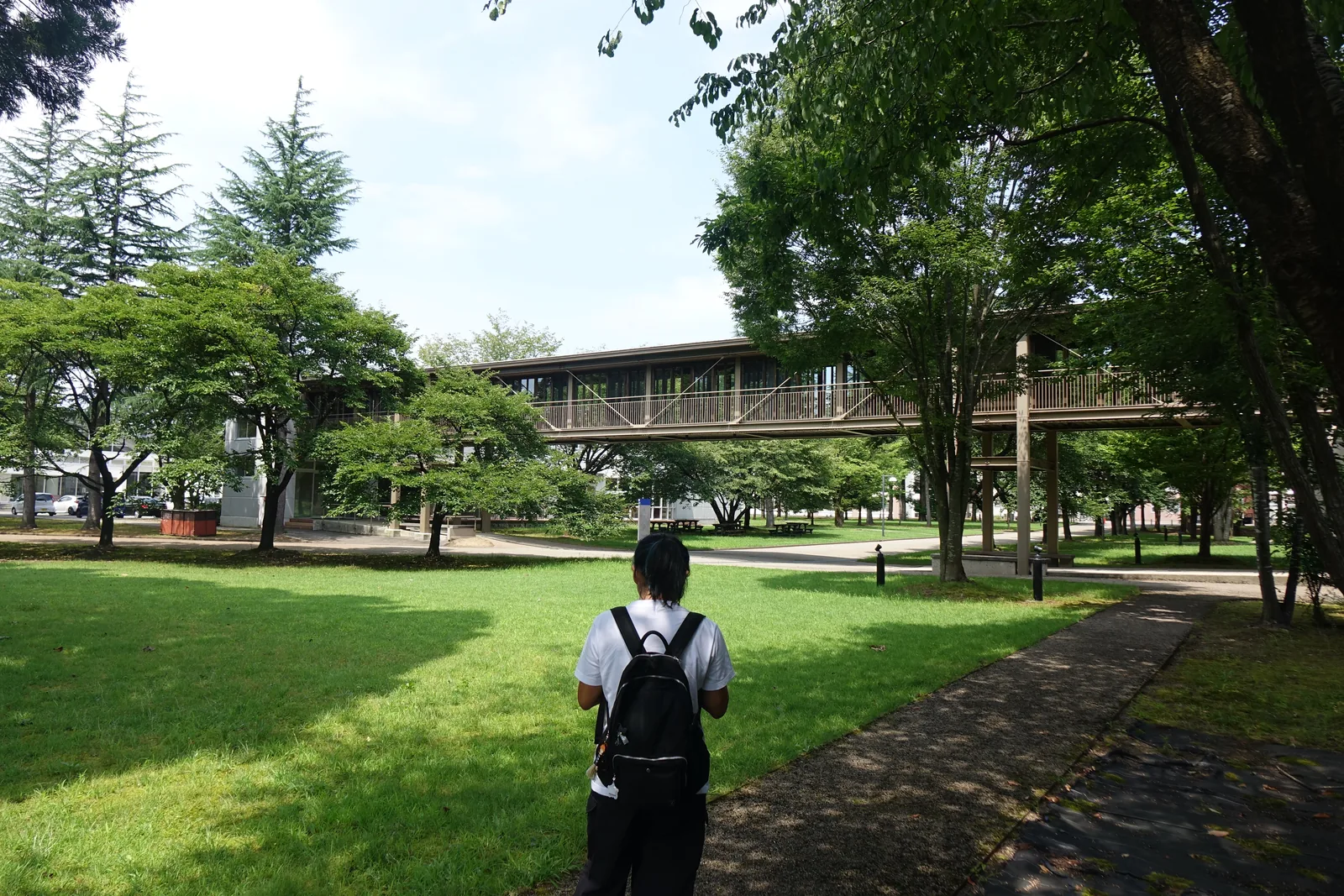 校園草坪全景，草地間一條碎石步道延伸向遠方，中景橫跨一座木造欄杆的架空連廊，四周為高大的落葉樹與針葉樹