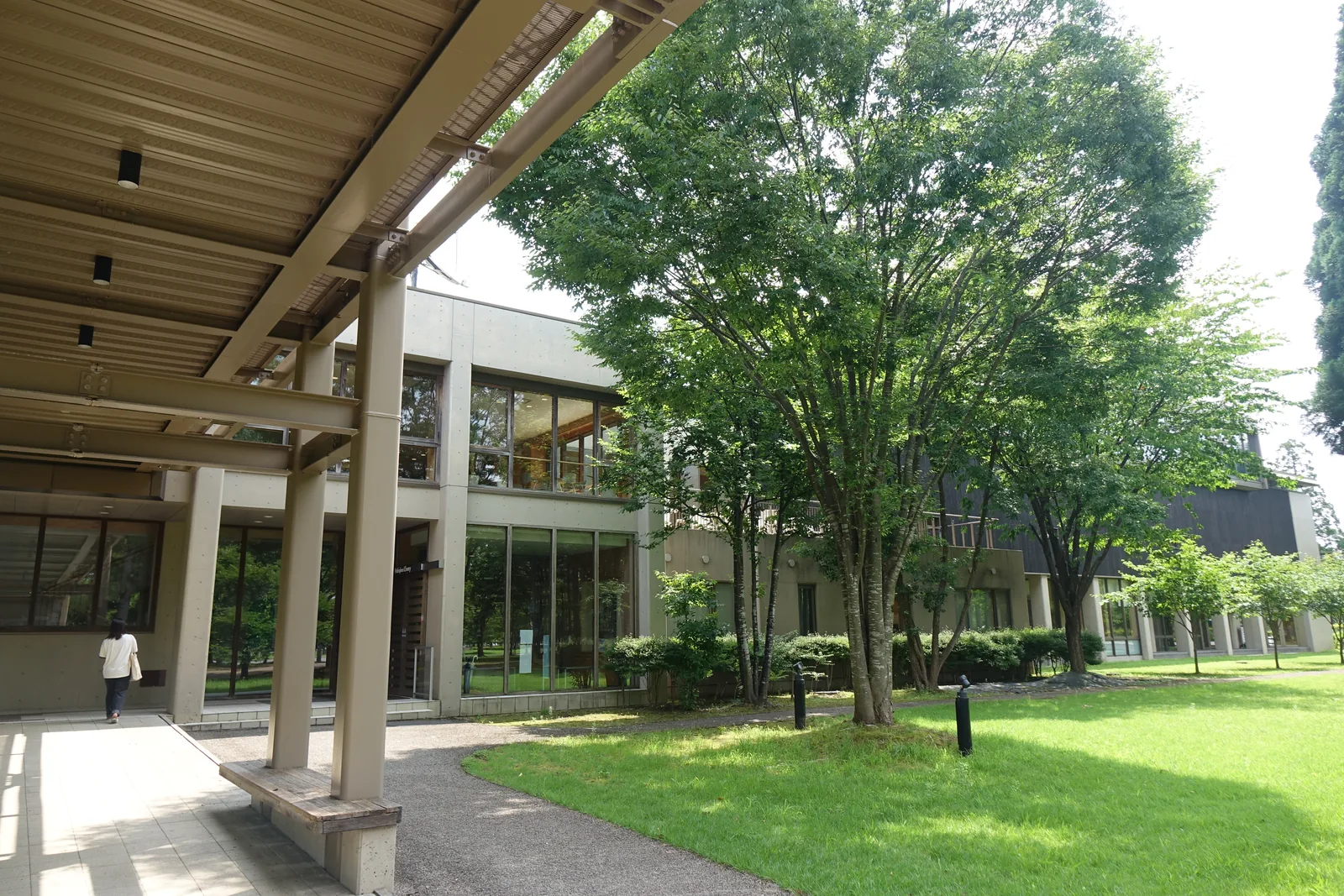 鋼骨有頂步廊，成對方形鋼柱撐起淺色屋頂，柱腳附設長椅，右側為草坪與大樹，遠方為二層校舍