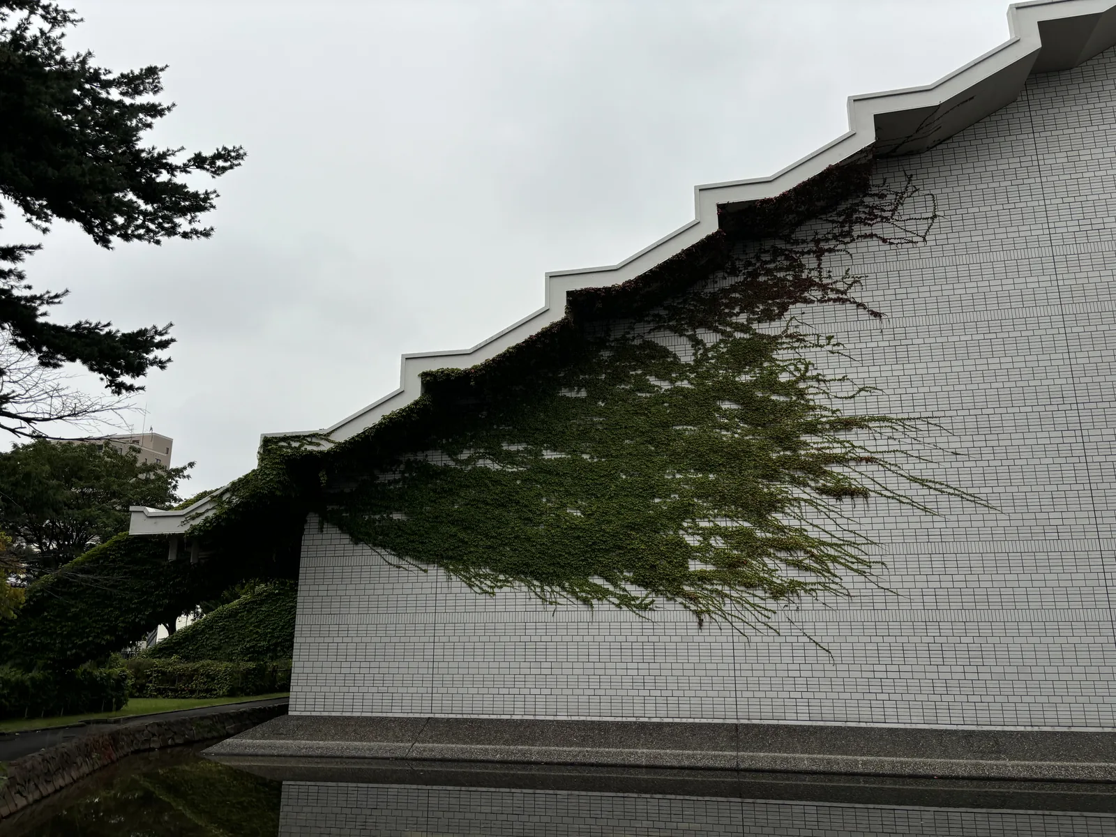 美術館的山牆，白色小方磁磚覆面，頂部為階梯狀的簷口輪廓，常春藤沿斜向攀附，牆腳為水池
