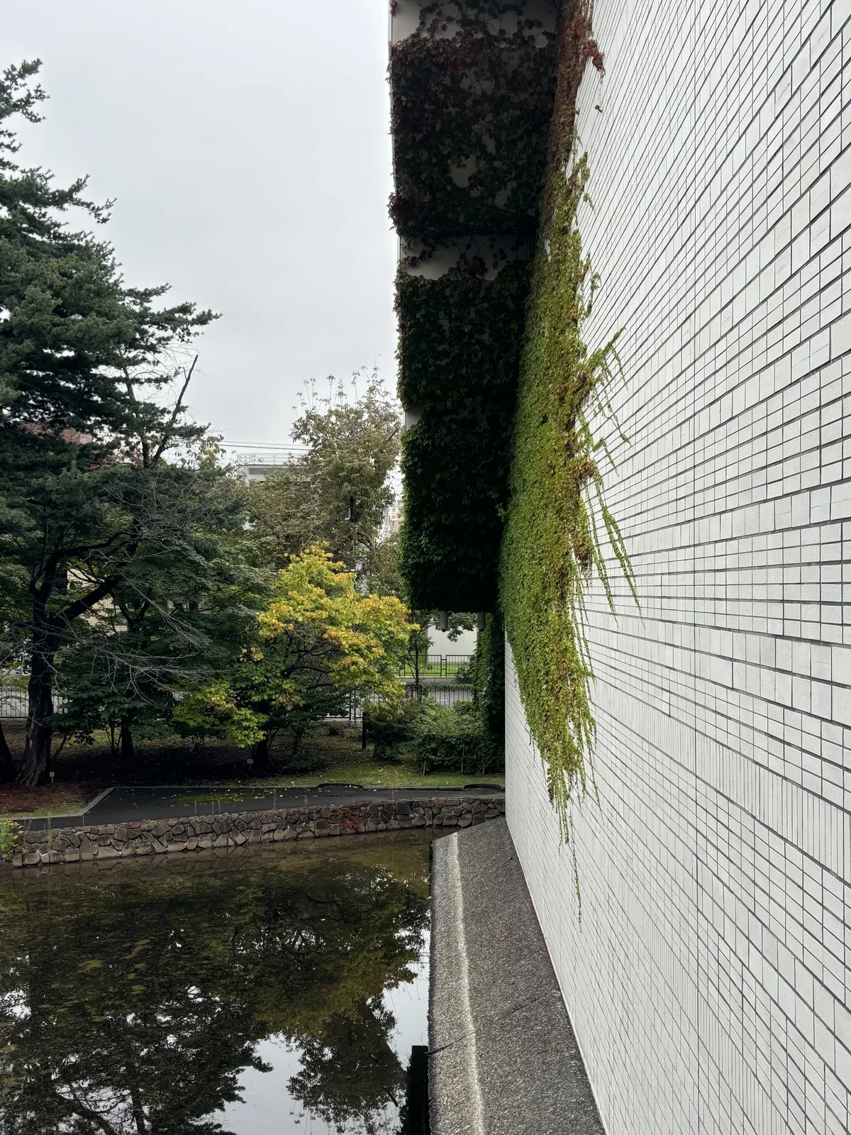 白色小方磁磚牆面的近景，牆頂懸垂著常春藤，牆腳沿水池延伸，對岸為石砌池緣與樹木