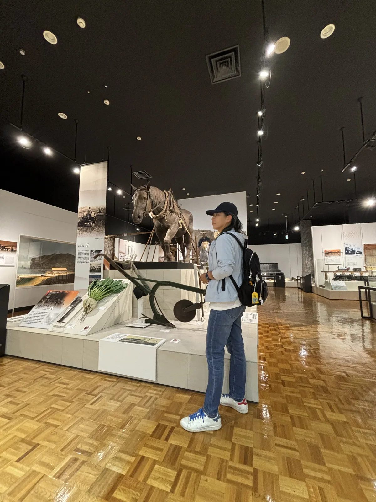 總合展示室另一區，深色天花下的聚光燈照亮動物骨骼標本與展示台，地面為木質拼花，遠處為白色展示牆