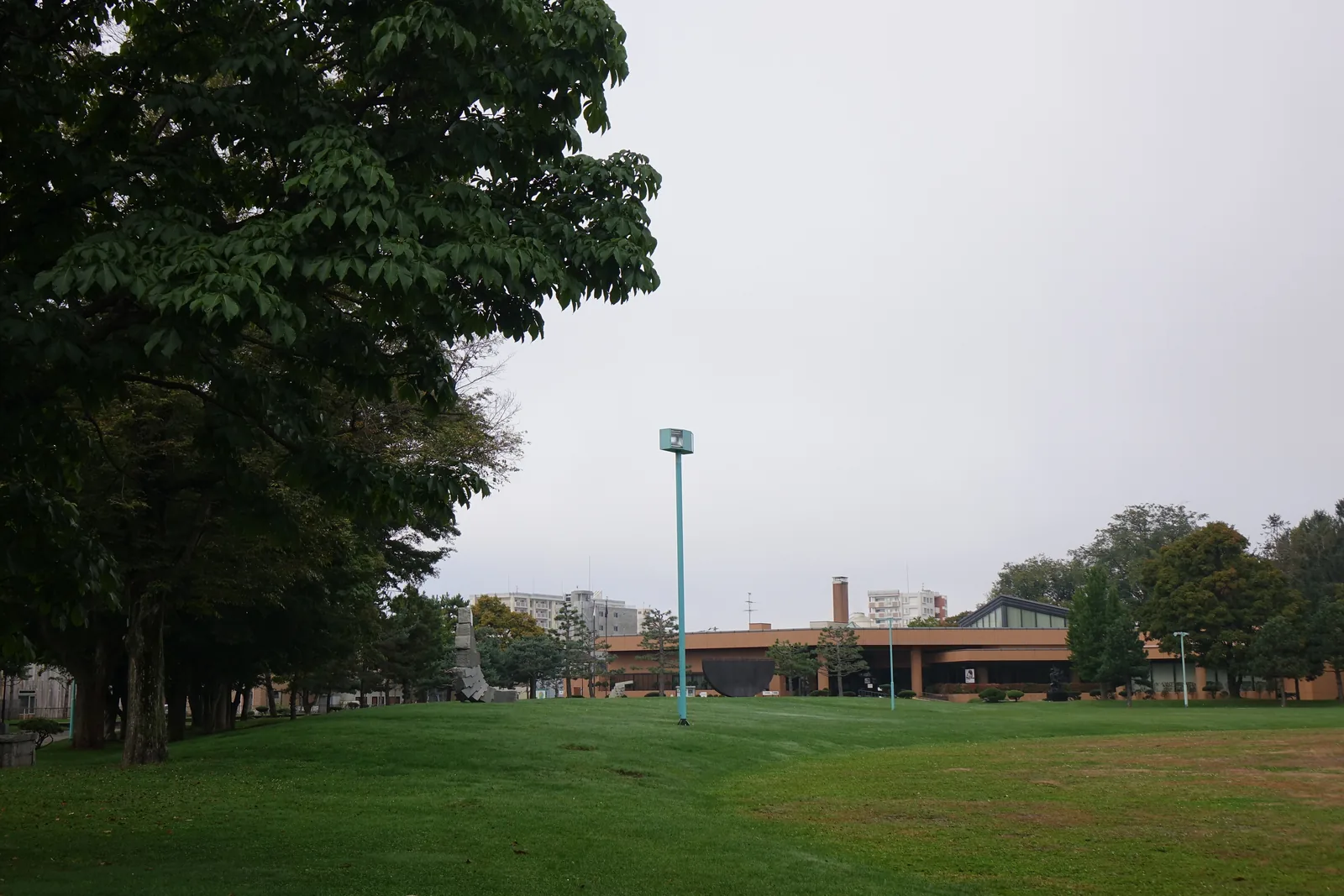 常磐公園自由廣場，前景為大片草坪，左側為大樹，遠處為美術館低矮的水平量體，其後方凸起一座玻璃山形屋頂