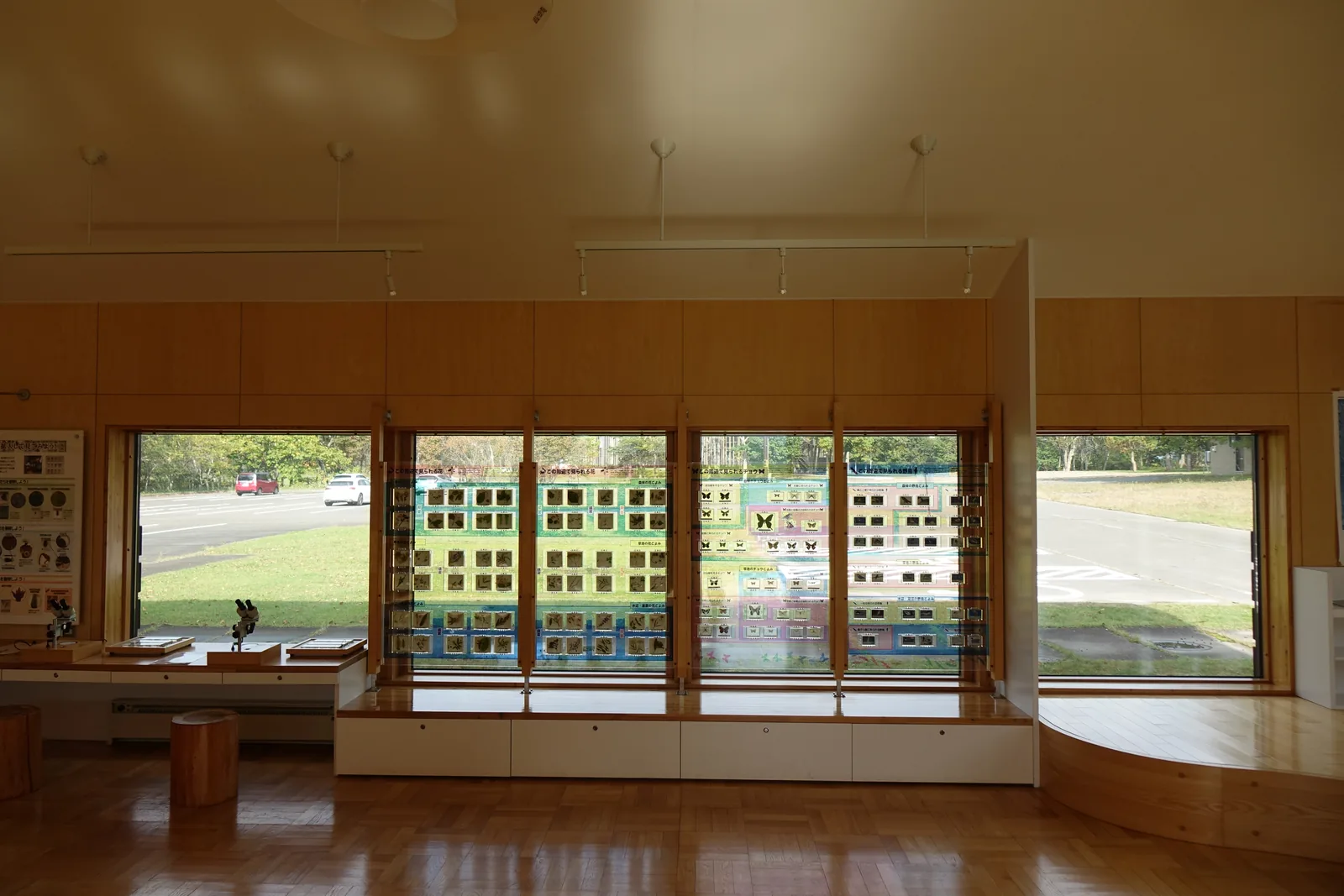 自然情報館的窗邊展示，窗框內排列嵌入蝴蝶標本的透明展示板，窗外為停車場與林地，前方為木作平台與顯微鏡