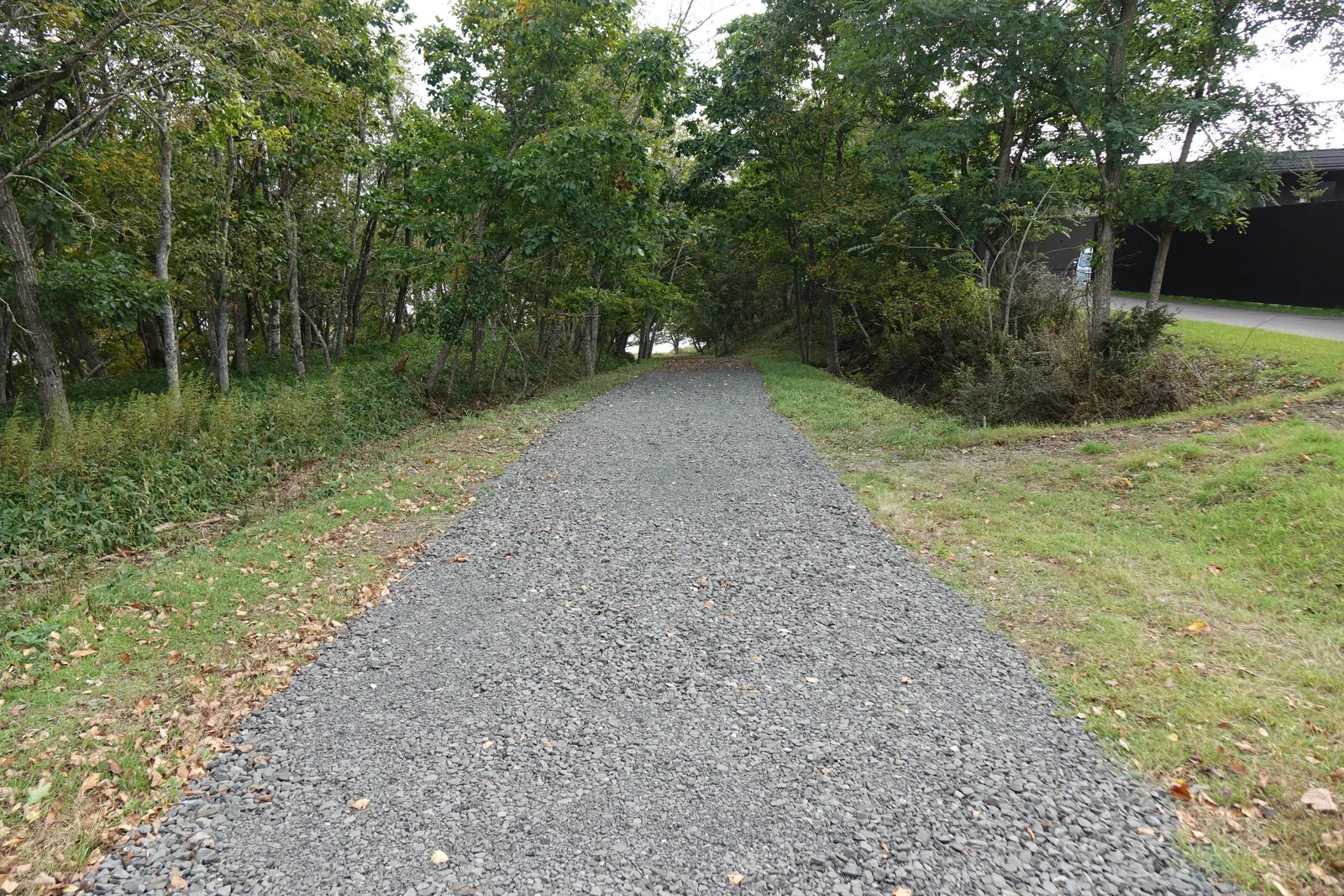 林間的碎石步道，兩側為草地與落葉樹林，右後方可見深色的建築外牆