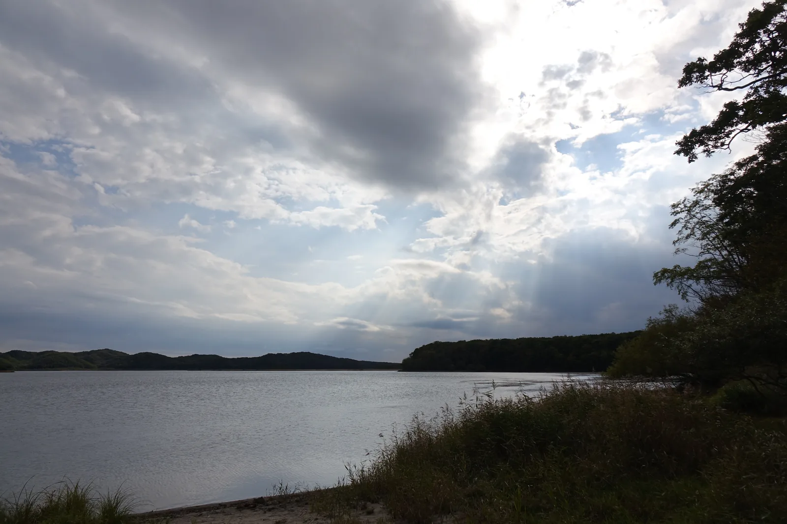 Shirarutoro 湖岸，前景為草叢與沙地，湖面開闊，遠方為低矮的丘陵與雲層間透出的光