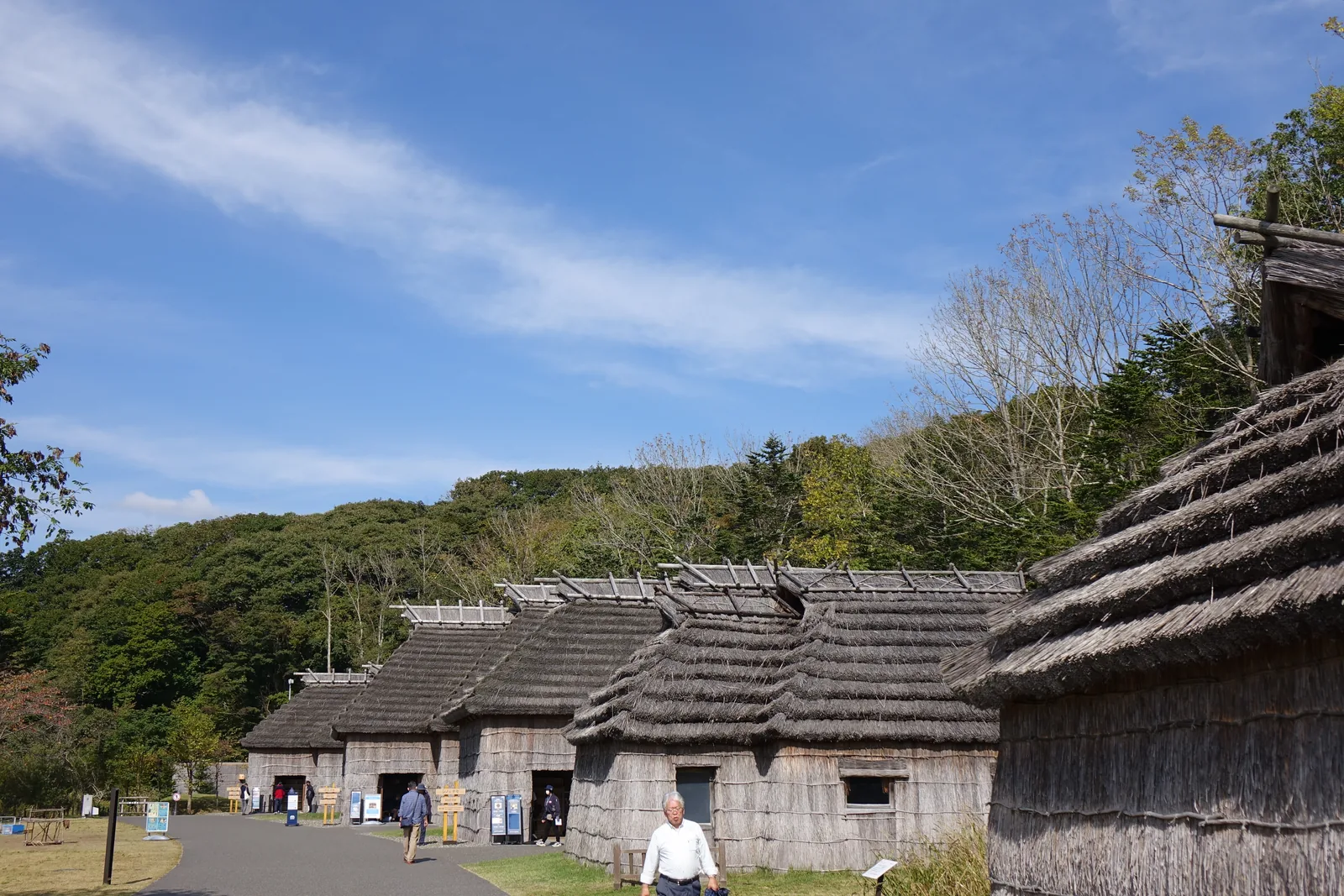 傳統 kotan 的 chise 群，數棟茅草屋頂的家屋沿步道排列，背後為樹林，前方為步道與草地