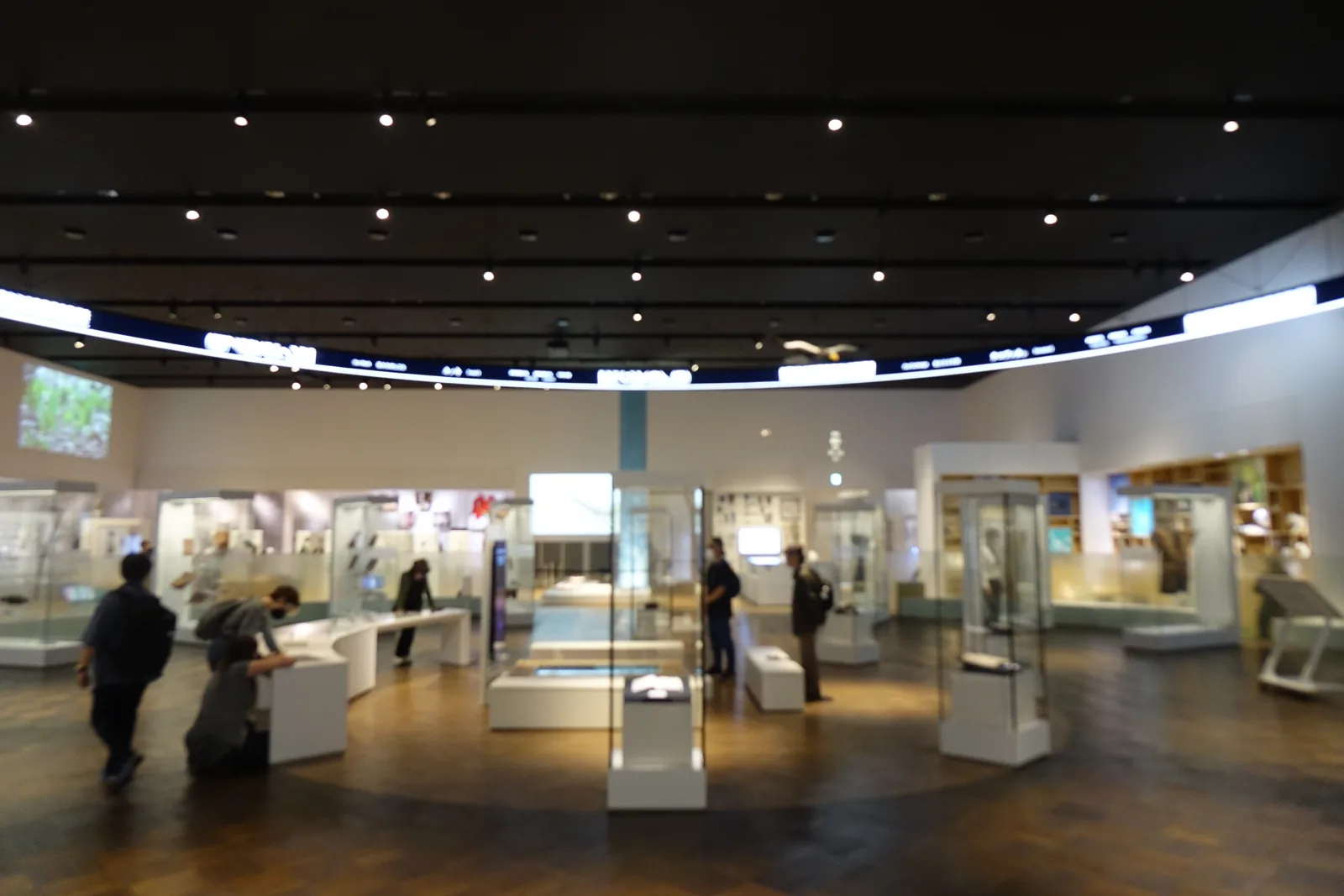 基本展示室的另一角，環形光帶下為玻璃展示櫃群，右側為影像螢幕，參觀者在展示櫃之間移動