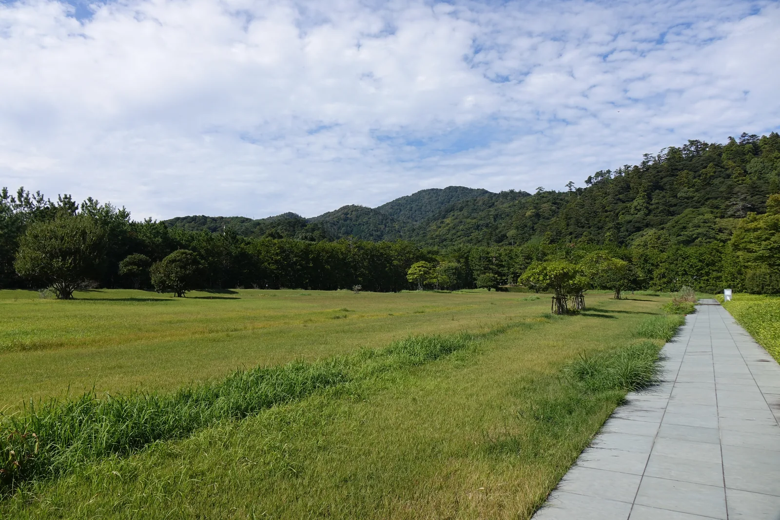 出雲風土記之庭，前景是大片的草地，右側一條鋪石步道筆直延伸，遠方是一排樹木與覆蓋森林的北山山系，天空有雲