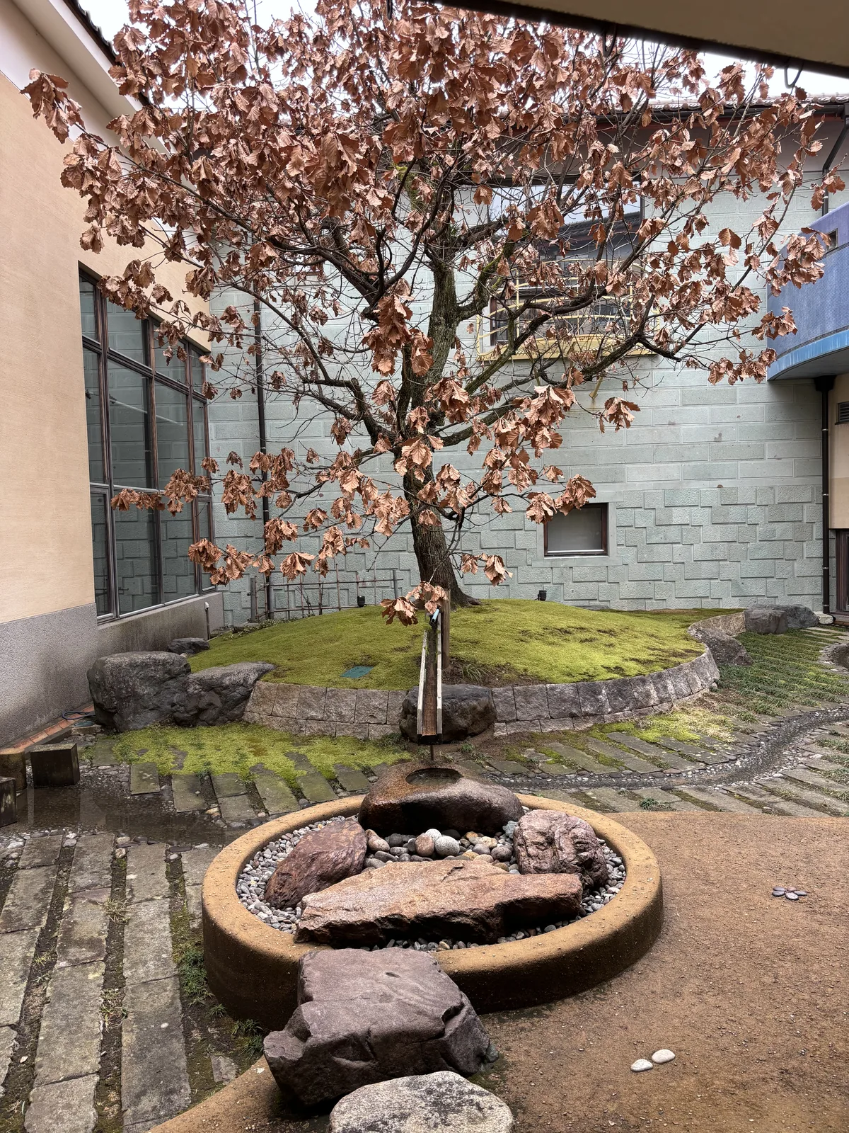中庭的近景，前景是一個圓形的石盆，盆中堆著紅褐色的石塊，盆前是幾塊踏石，後方是青苔丘與一棵枯葉的樹，背景是灰色的石砌牆與一扇高窗，地面是以石板與草帶交錯鋪成的弧線