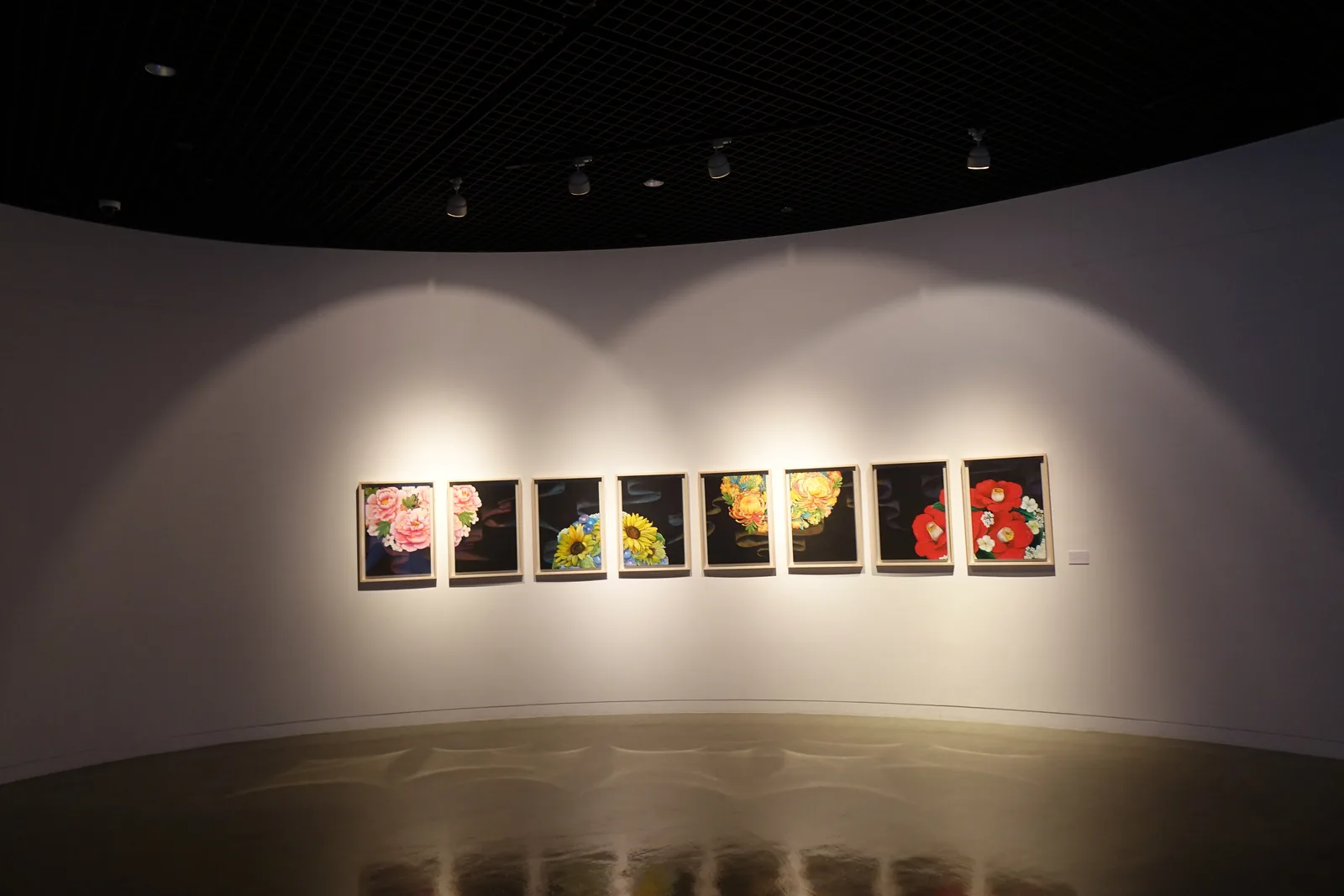二樓的展示室，一面連續的白色弧形牆上掛著一排小幅的畫作，軌道燈在牆上打出成排的弧形光暈，天花是深色的，地面是反光的深色地材