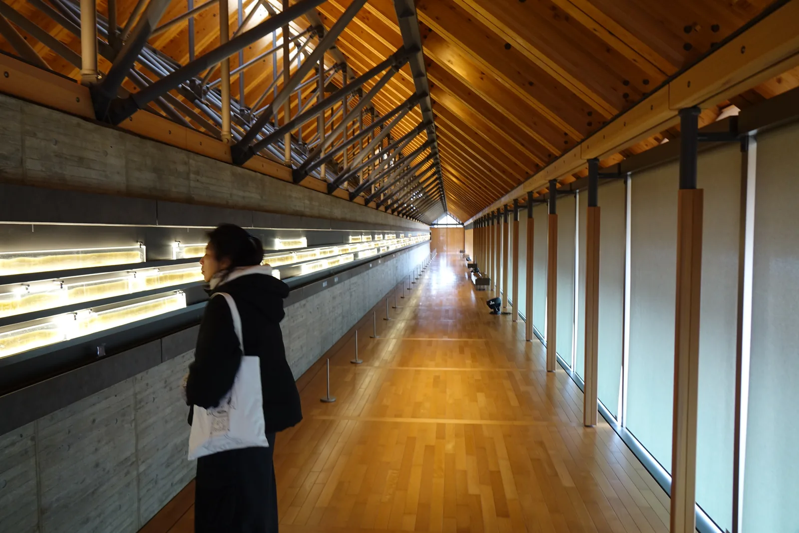 年縞展示室的長廊，左側是清水混凝土牆與牆上一列發光的年縞展示板，一位參觀者站在牆前看著展示板，右側是一排木柱與落地窗，窗上拉著淺色的捲簾，長廊的盡頭是一扇小小的山牆窗