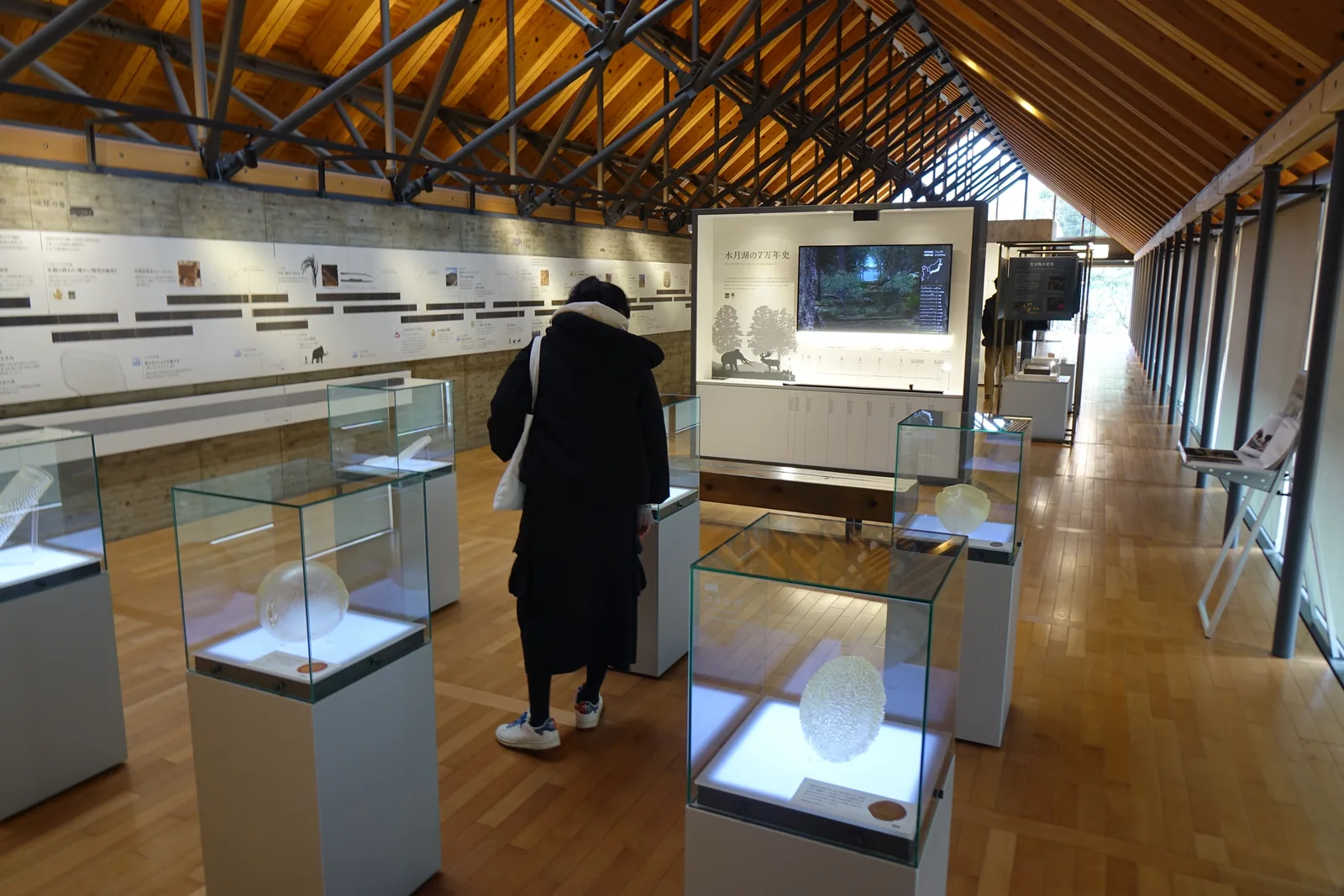二樓的解說展示室，木地板上散置著幾座方形的玻璃展示櫃，左側是清水混凝土牆上的橫向說明板，右側是落地窗，中央是一座白色的展示牆與螢幕，上方是杉木登梁與鐵骨桁架，一位參觀者在展示櫃前低頭觀看
