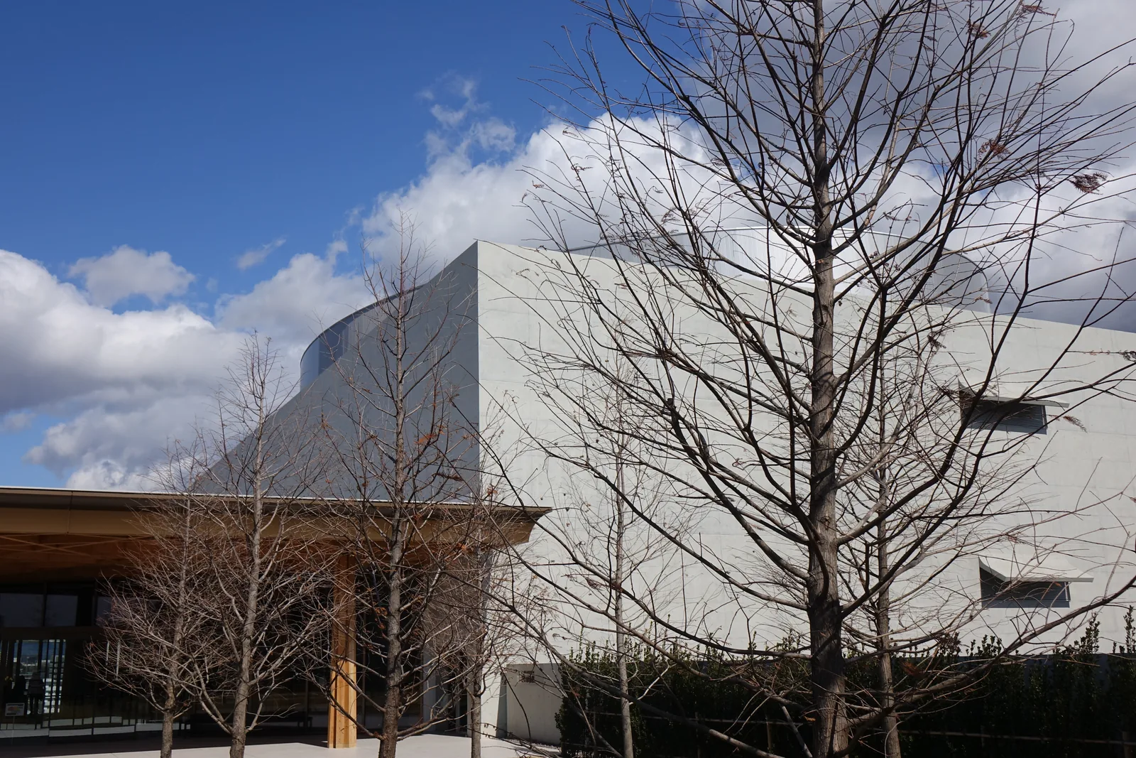 豐田市博物館的外觀，一道白色混凝土的牆面以斜角收頭，牆上開著幾個細長的窗，左側是低矮的木造簷廊，前景是落葉的樹