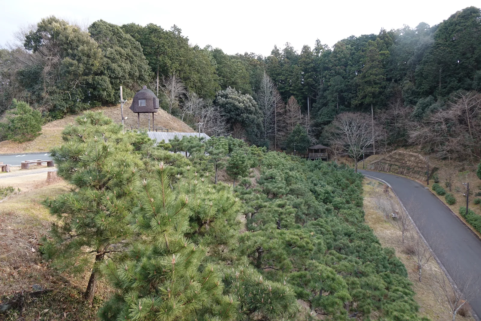 自美術館的 terrace 俯視坡道，前景是一片修剪成團的松樹，右側是一條彎曲的柏油坡道，左後方的丘頂上立著一座以細長柱腳撐起的小屋，背景是深綠的山林