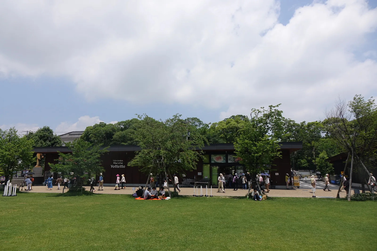 天王寺公園的草坪廣場另一側，前景是大片的草坪，其後是成排的深色木造平屋店舖與樹，草坪上有野餐的人，遠處是高層住宅