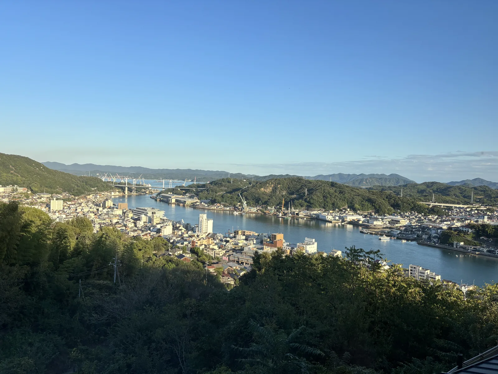 自千光寺公園望向尾道水道東側，前景是坡地的竹林與樹林，中景是沿水道延伸的市街與停泊的船，遠景是水道上的橋與對岸的山稜