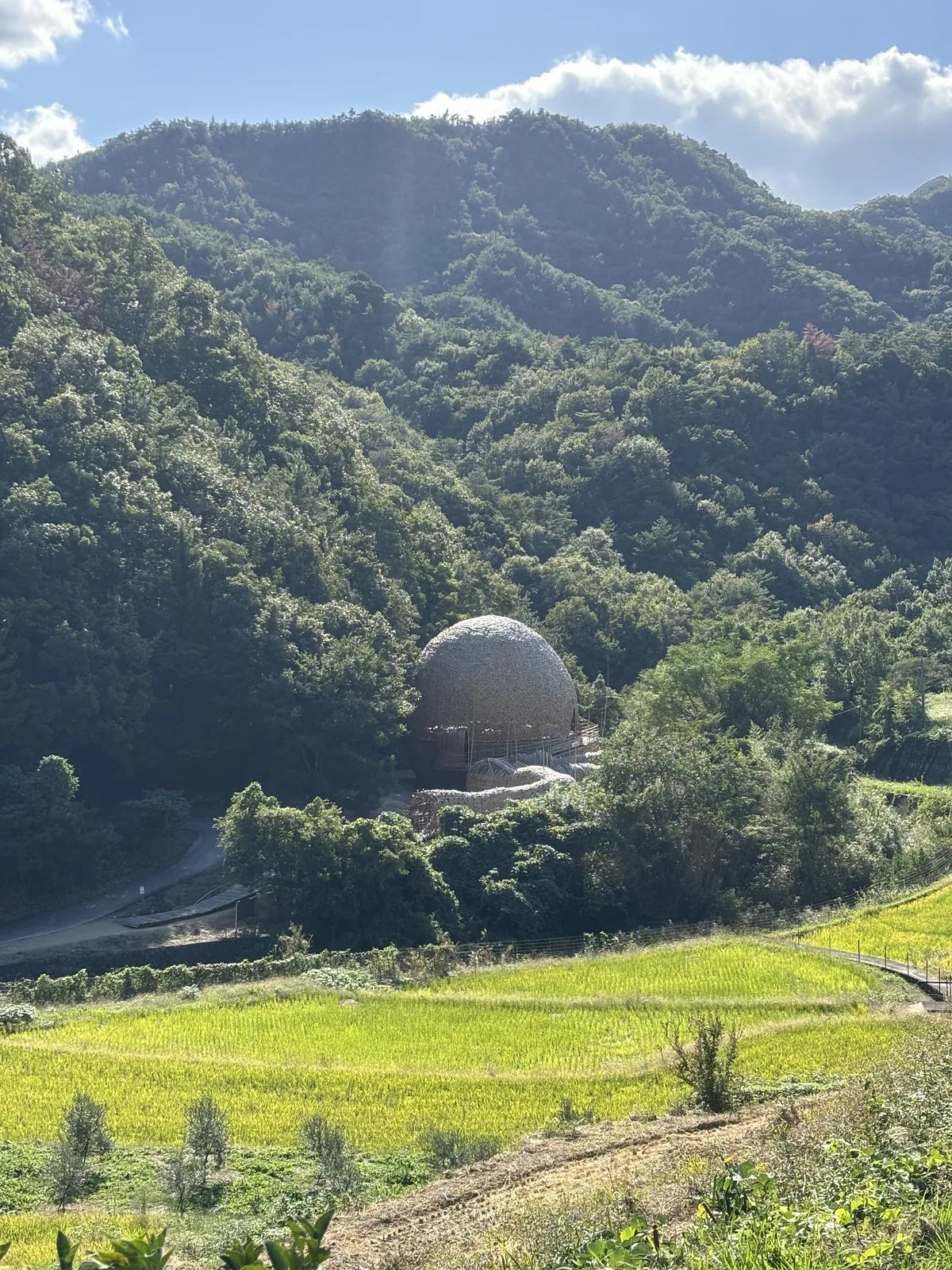從山腰道路俯瞰中山的谷地，前景是黃綠色的梯田，中景的樹林之間浮著一顆淺褐色的竹編圓球，背後是覆滿樹林的山丘