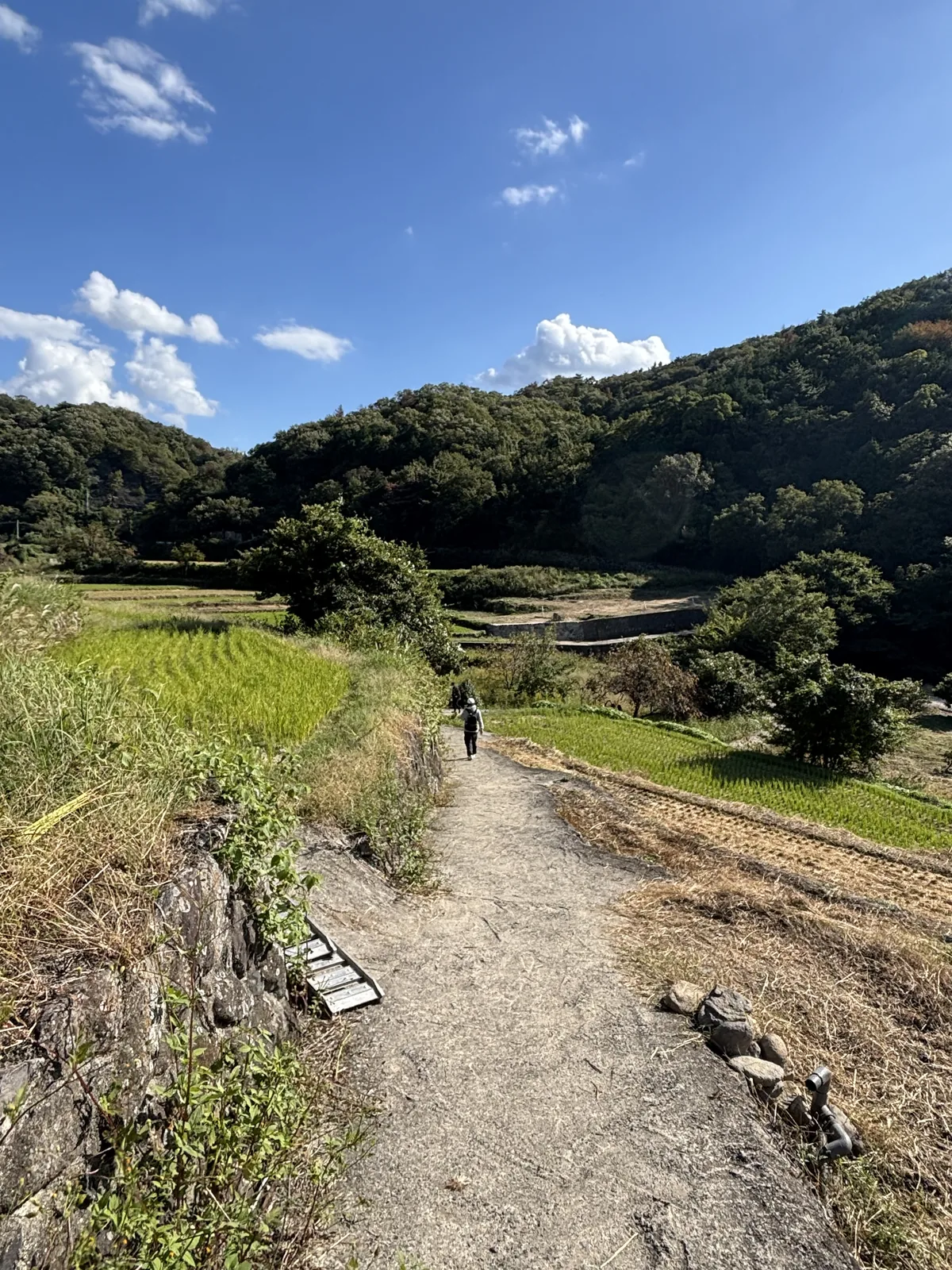 梯田之間的一條土路，路面向前下降，左側是稻田與野草，右側是石砌的田埂，遠處是一位行人與覆滿樹林的山丘