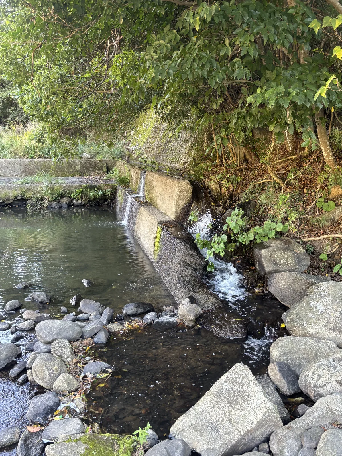 殿川上游的溪流，一道混凝土攔水堰在左側積成一池清水，水從堰的缺口落下，流過前景大小不一的花崗岩石塊，岸邊是茂密的植物