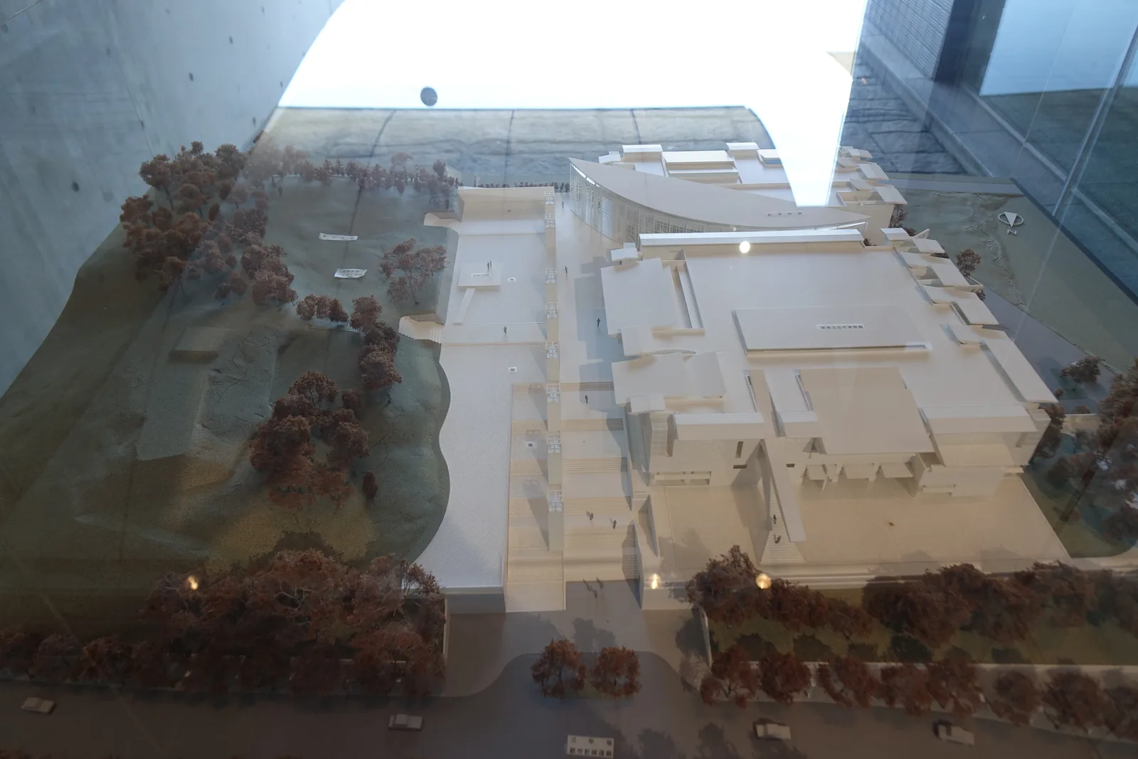 美術館與博物館的配置模型，白色的建築量體坐在一片斜坡上，周圍以褐色的模型樹表示樹林，畫面上方是一道弧形的長庇，模型置於玻璃之後