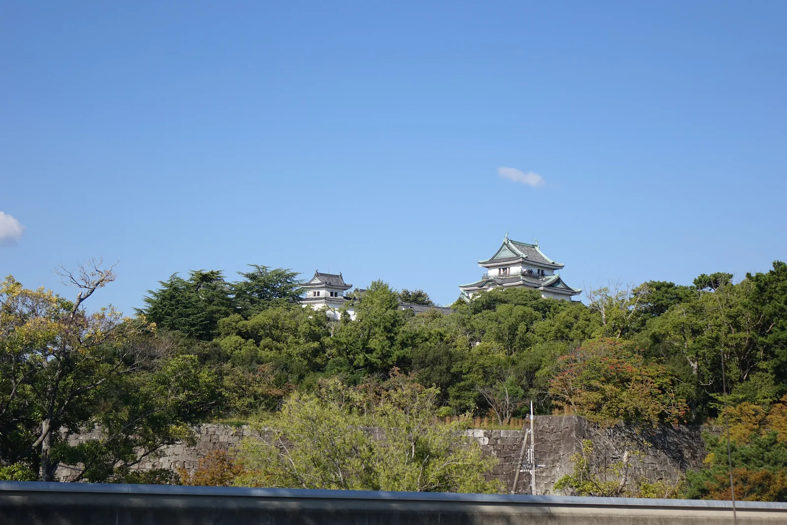 自美術館的平台回望和歌山城，前景是平台的矮牆，中景是城的石垣與茂密的樹林，樹林之上露出天守與小天守的白色屋頂