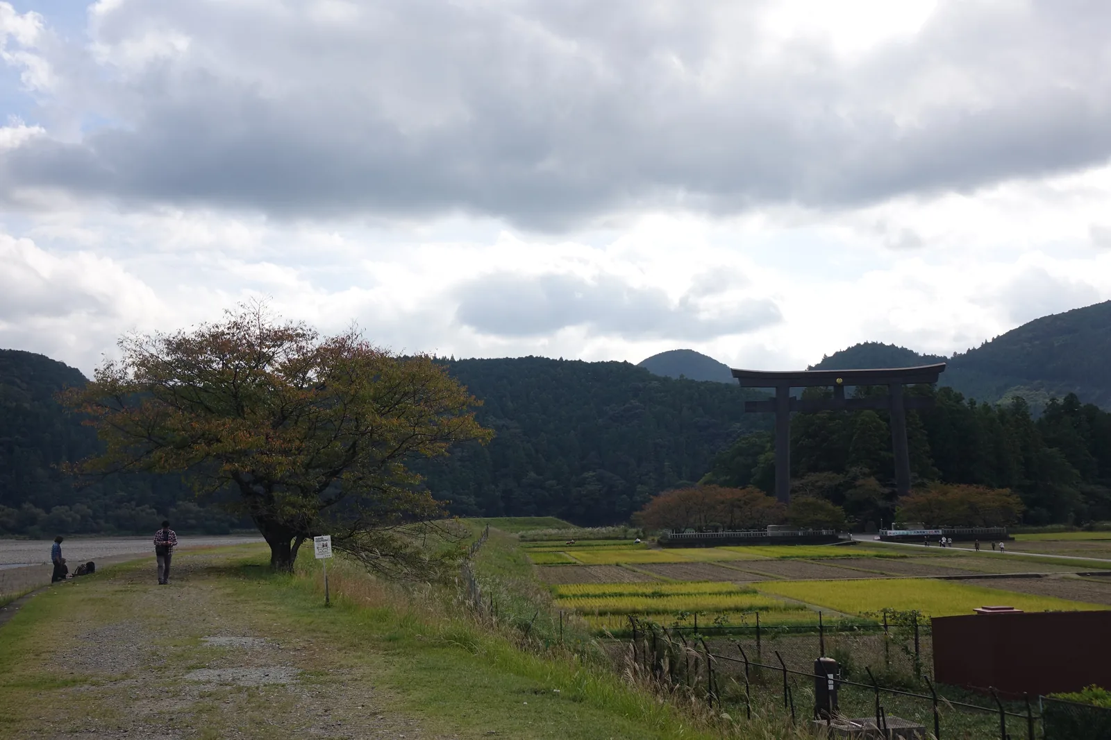 自熊野川堤防望向大齋原，前景是堤防上的砂礫步道與一株樹，右側是收割前後的水田，遠處山腳下立著一座巨大的鳥居，背景是層疊的山