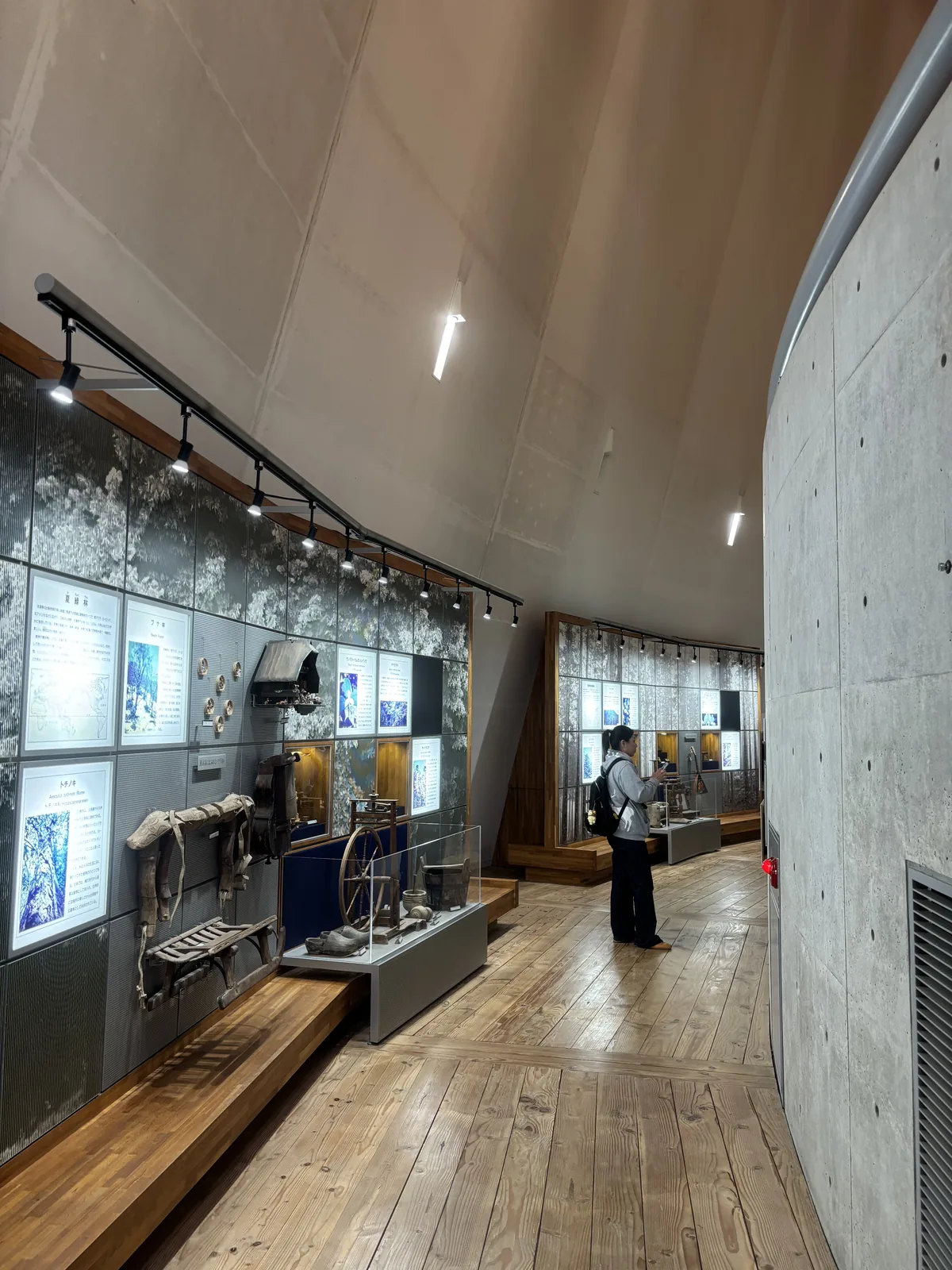 動線後段的展示空間，左側是沿曲面延伸的展示牆，嵌著發光的說明板與木製農具，下方是木製的展示台，右側是一道彎曲的清水混凝土牆，地面是木地板，一位參觀者站在遠處