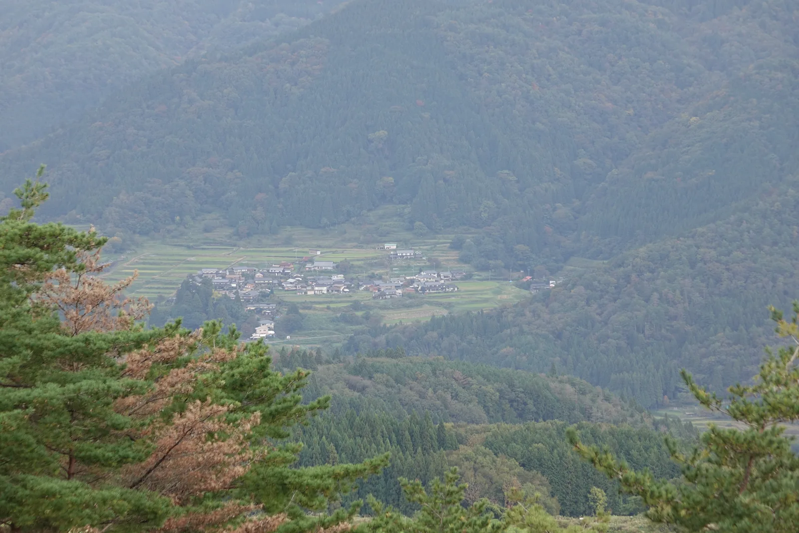 自展望台望向山谷，前景是杉林，中景的谷間散布著一個聚落與田地，背景是層疊的山