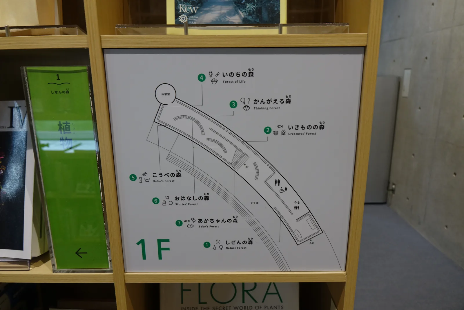 一樓書架端部的樓層圖，圖示一個細長而彎曲的平面，平面中依序標示七個主題的書架位置，標示牌下方的書架裡陳列著植物圖鑑