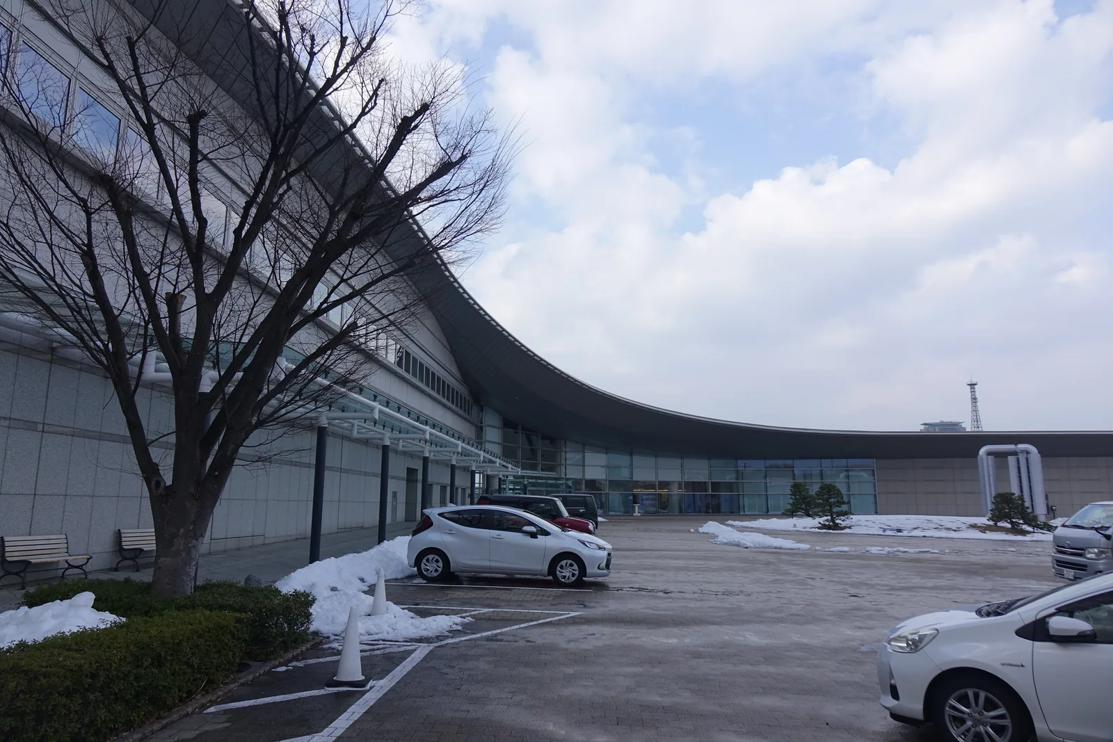 島根縣立美術館的入口一側，一道向右彎曲的低矮量體，屋簷水平出挑，下方是玻璃與白色壁面，前方是停車場、車輛與覆雪的植栽，左側是一棵落葉的大樹