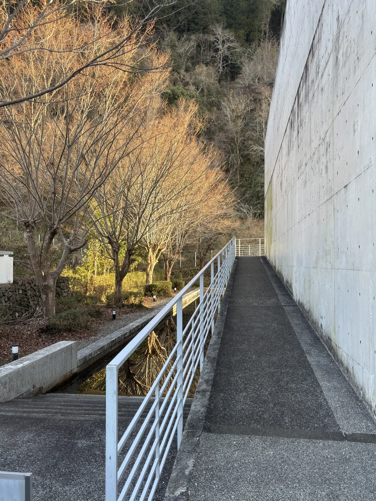 沿清水混凝土長牆延伸的坡道起點，右側是高大的混凝土牆，左側是細鋼管欄杆與水渠，後方是被夕陽照亮的落葉樹與山坡