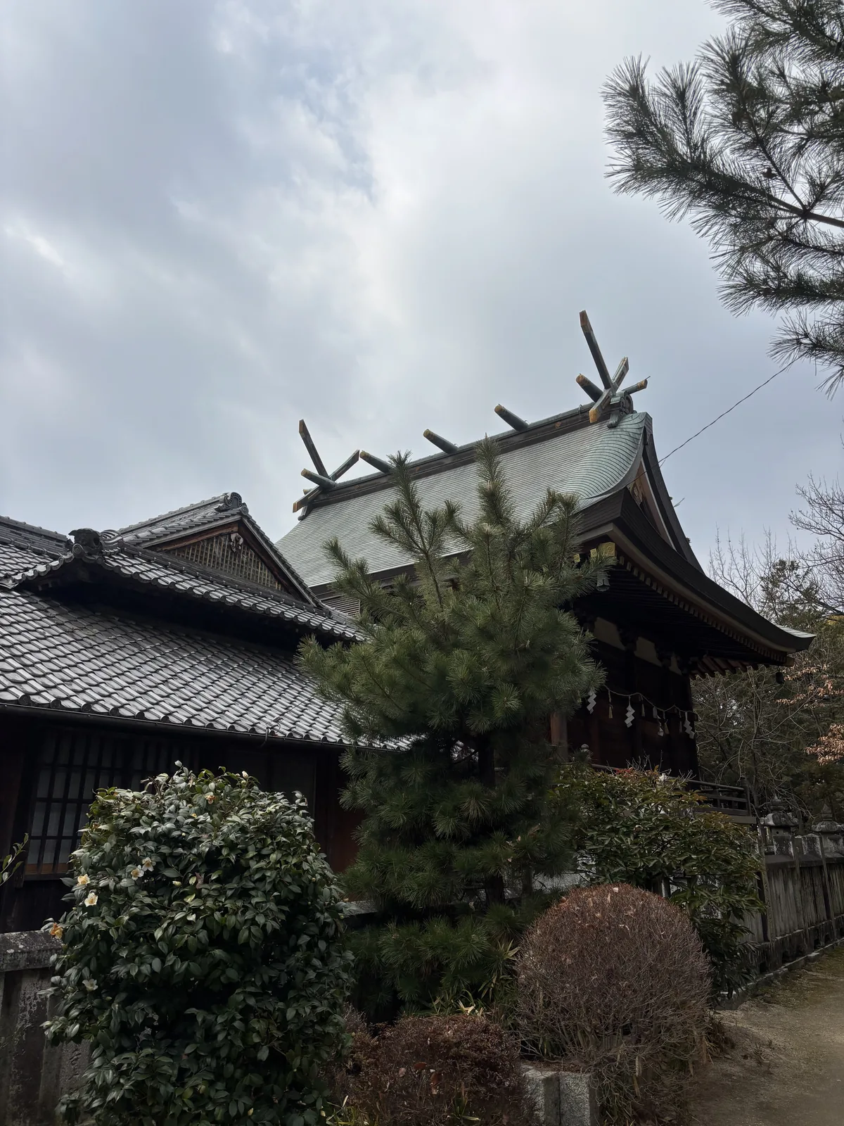 陰天下的神社社殿，前方是一座覆銅板的屋頂，後方是一座更高的屋頂，屋脊上立著交叉的千木與橫置的鰹木，前景是松樹與修剪成圓形的灌木，左側是一棟瓦頂的建物