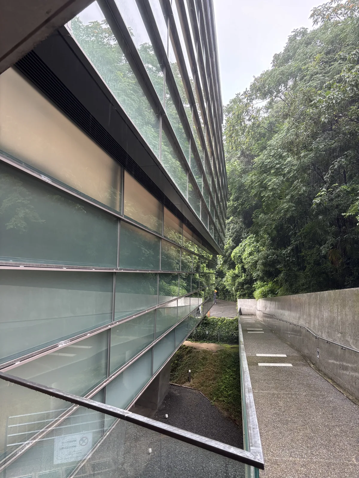 沿 Museum 外壁上行的坡道，左側是以水平帶分割、向外傾斜的玻璃壁，玻璃反射著樹木，右側是清水混凝土的矮牆與坡道，兩者之間是下沉的綠地，遠處是城山的樹林