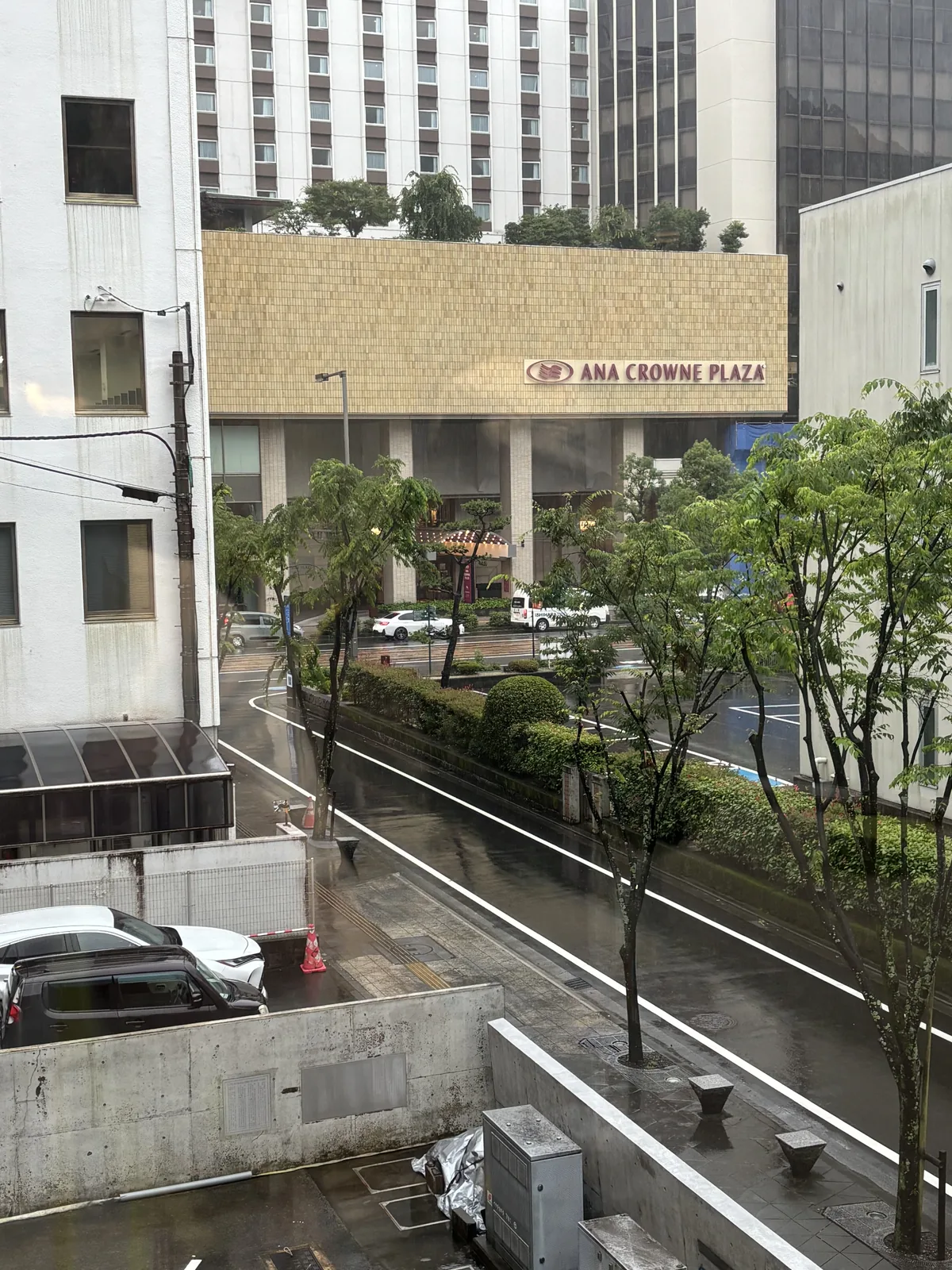 自閱覽室的窗望向街道，前景是窗下的混凝土構造與植栽，中景是濕漉漉的街道、行道樹與停放的車，背景是一棟飯店與高樓