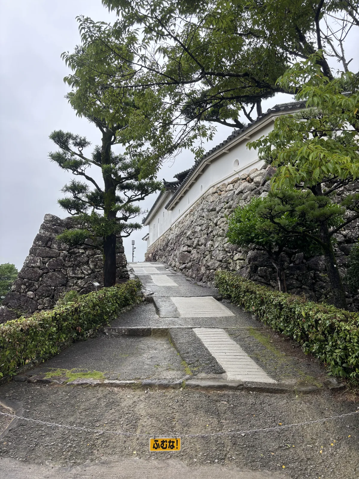城內一段沿石垣上行的坡道，左側是以自然石堆疊的石垣角，右側是另一道高石垣與其上白色塗籠的塀，坡道兩側是修剪整齊的綠籬，地面是灰色的鋪面與台階，上方是松樹與闊葉樹的樹冠