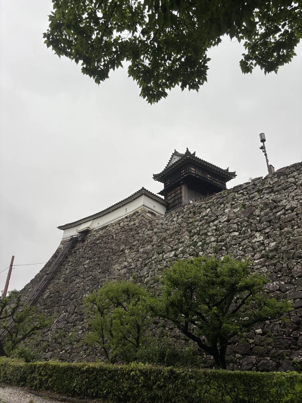 自城下仰看石垣與其上的櫓，畫面右側是以自然石堆疊、斜向收分的高石垣，石垣頂端是一棟小型的櫓與白色的塀，前景是松樹與闊葉樹，上方垂下樹枝，天空是陰天