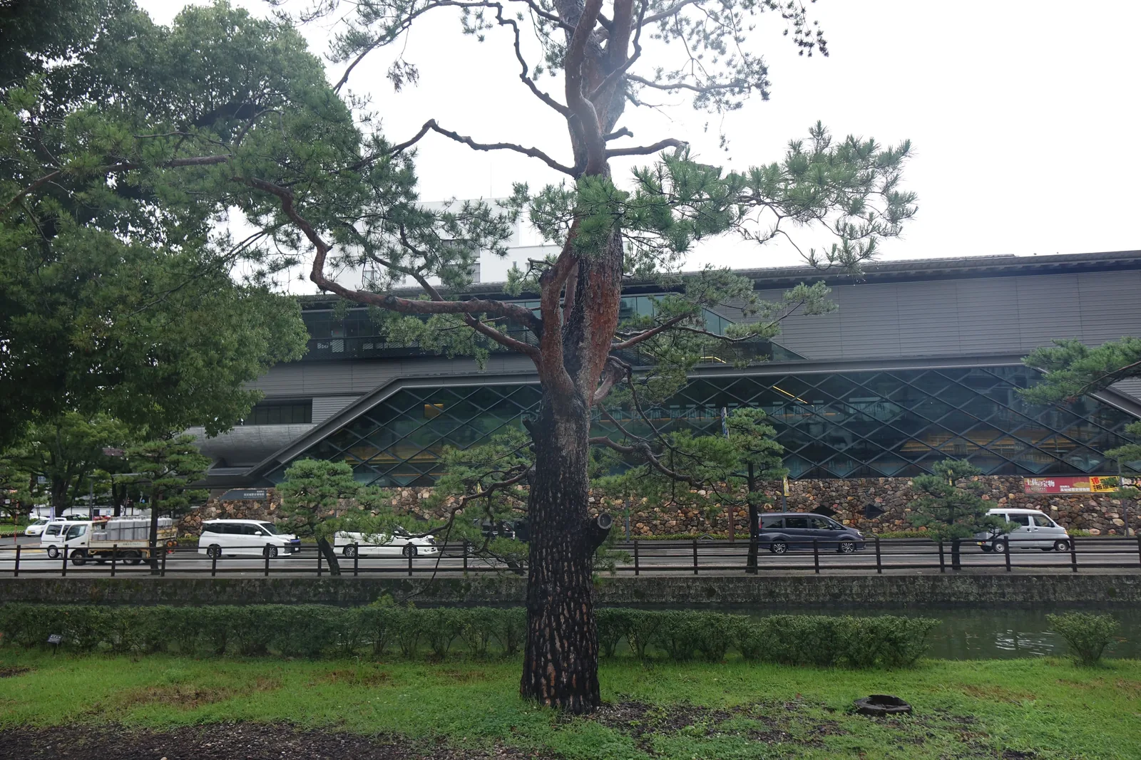 自高知城一側隔著車道看博物館，前景是草地與一株高大的松樹，中景是一排行駛的車輛與護欄，背景是博物館橫長的量體，上部是深出的屋簷，中段是菱形格子的立面，下部是石塊砌成的基座